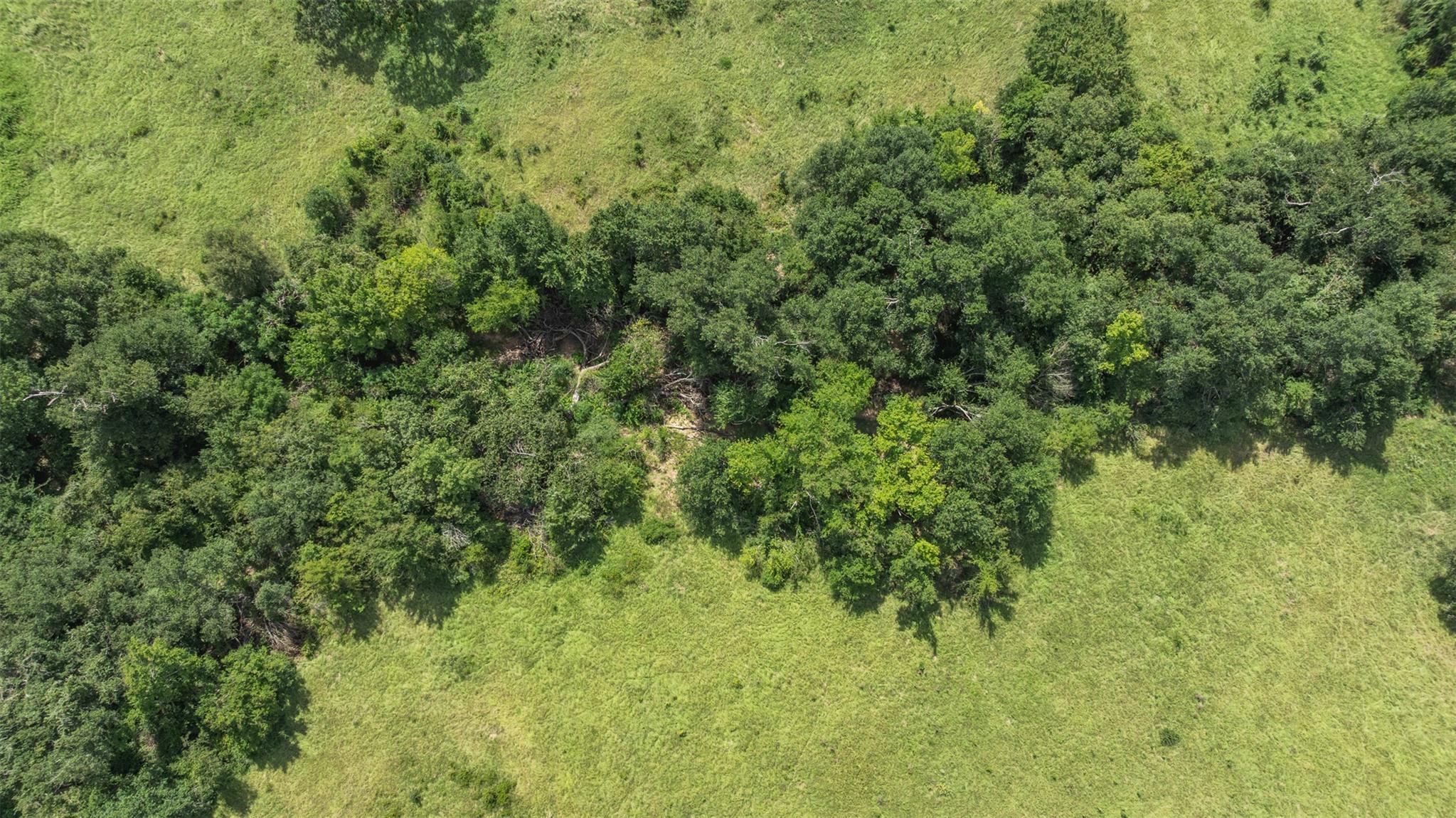 TBD CR 707A, Groesbeck, TX 76653