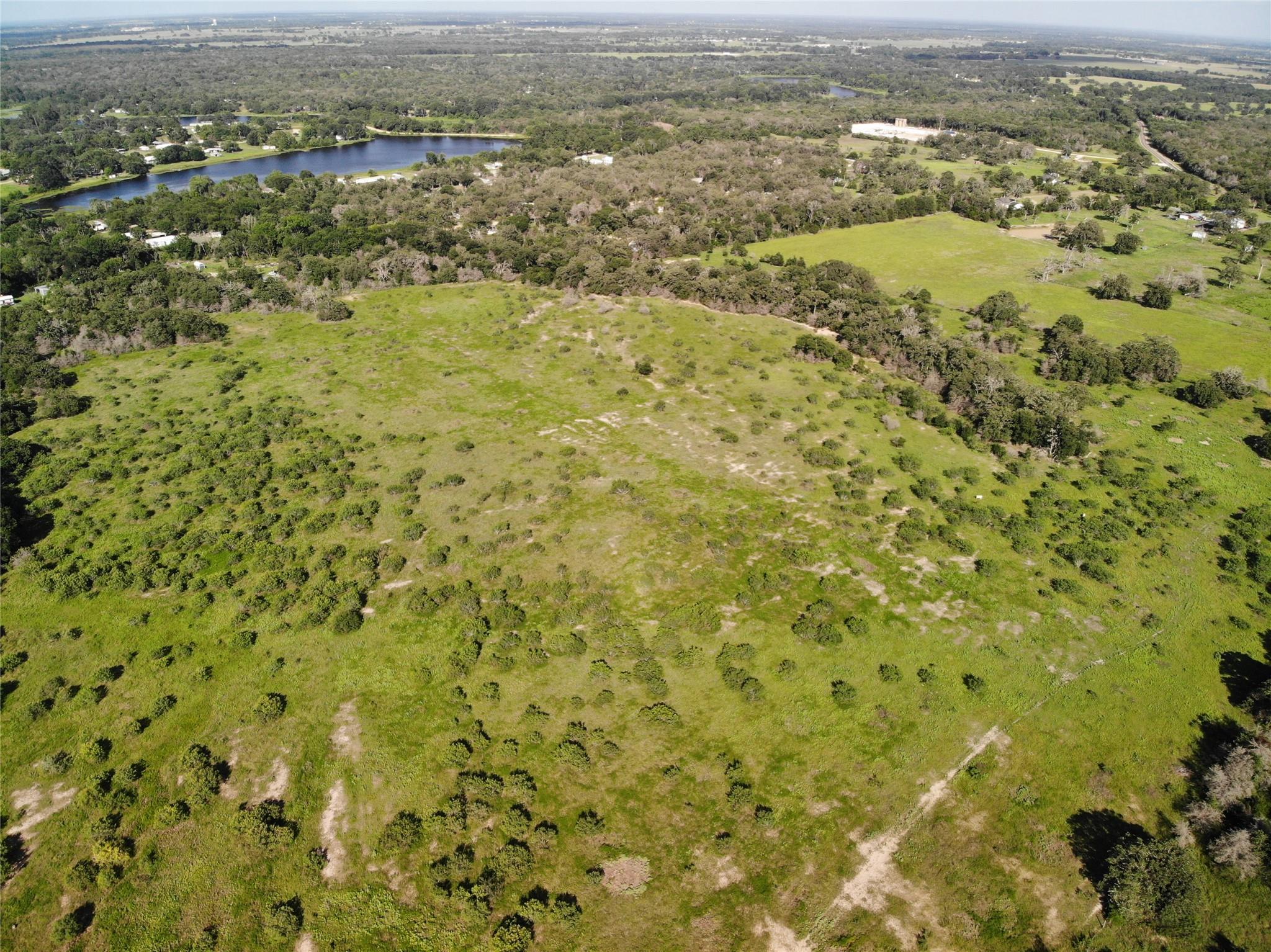 23.2218 Acres FM 908 Rd, Caldwell, TX 77836
