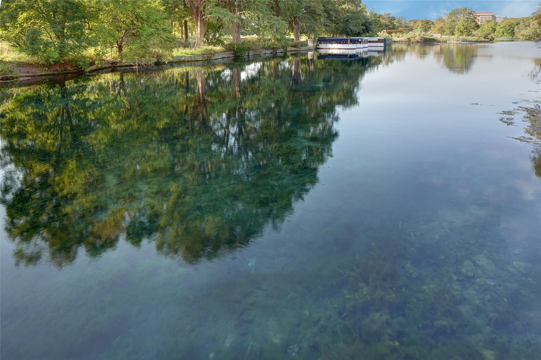 213 Puppy Dog Pass, San Marcos, TX 78666