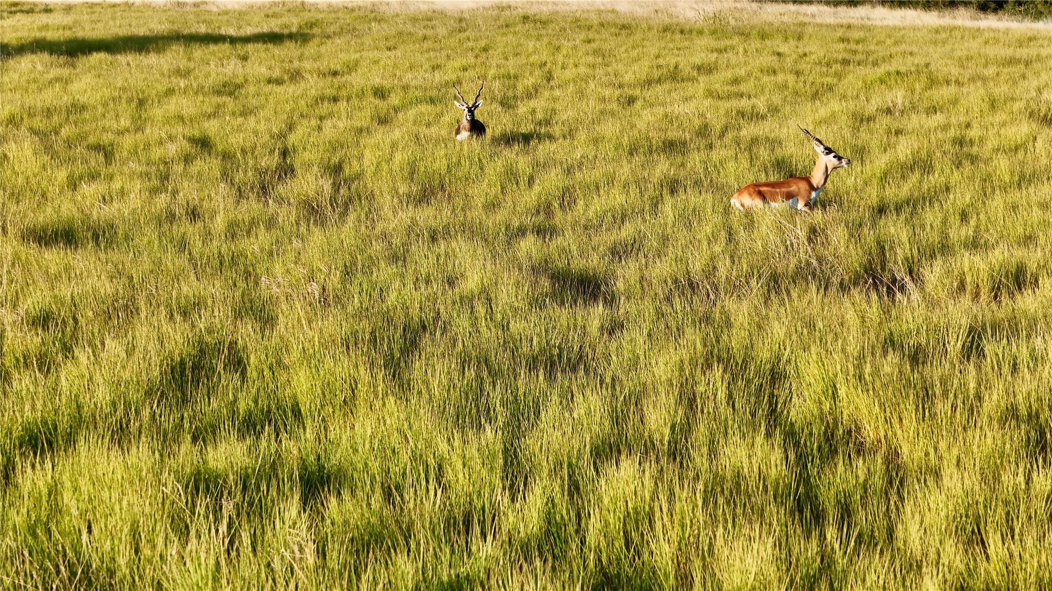 Lot 14 Mesa Grande Ct, Marble Falls, TX 78654