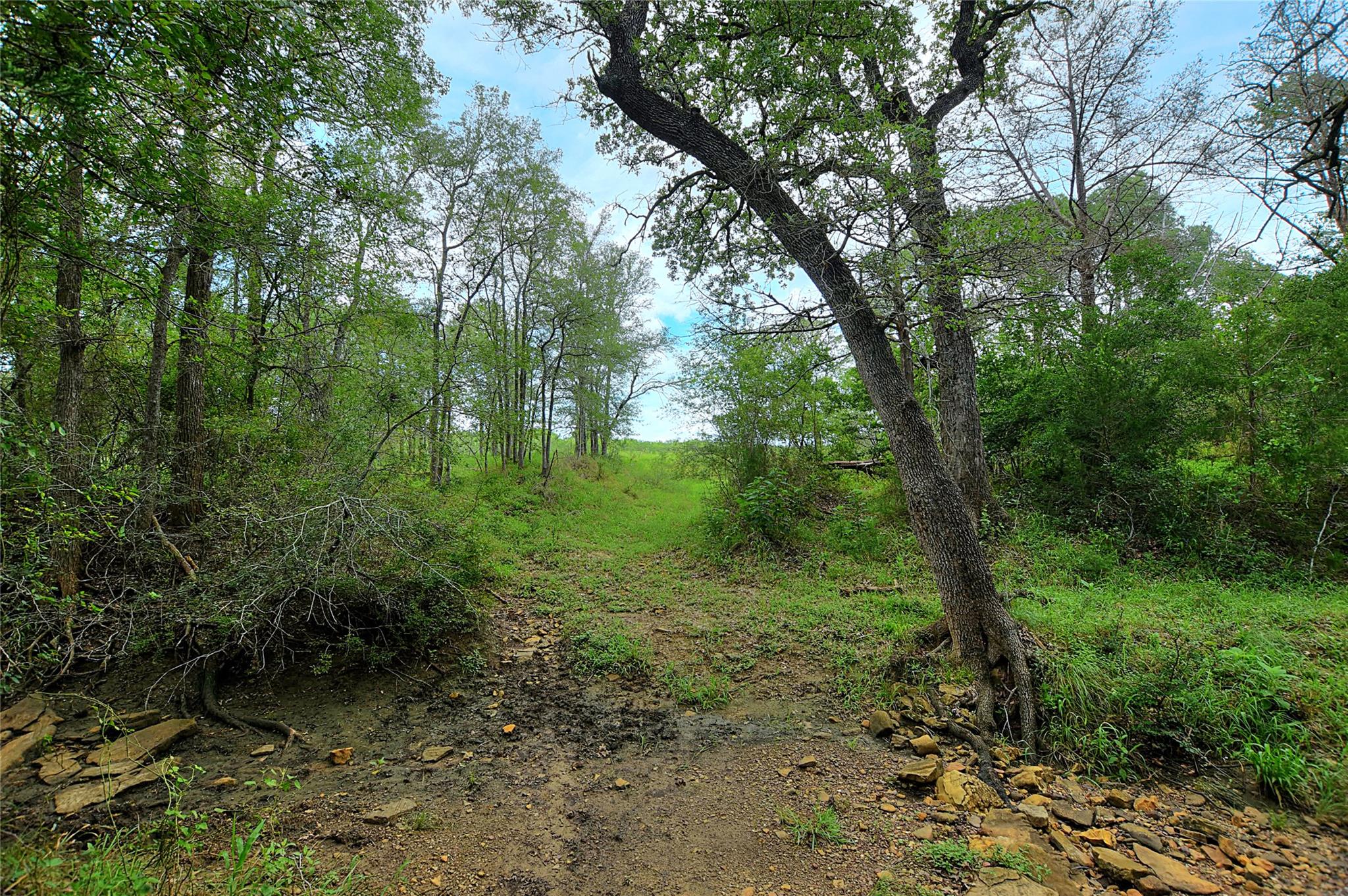 TBD E Whitworth Ln E, Bastrop, TX 78602