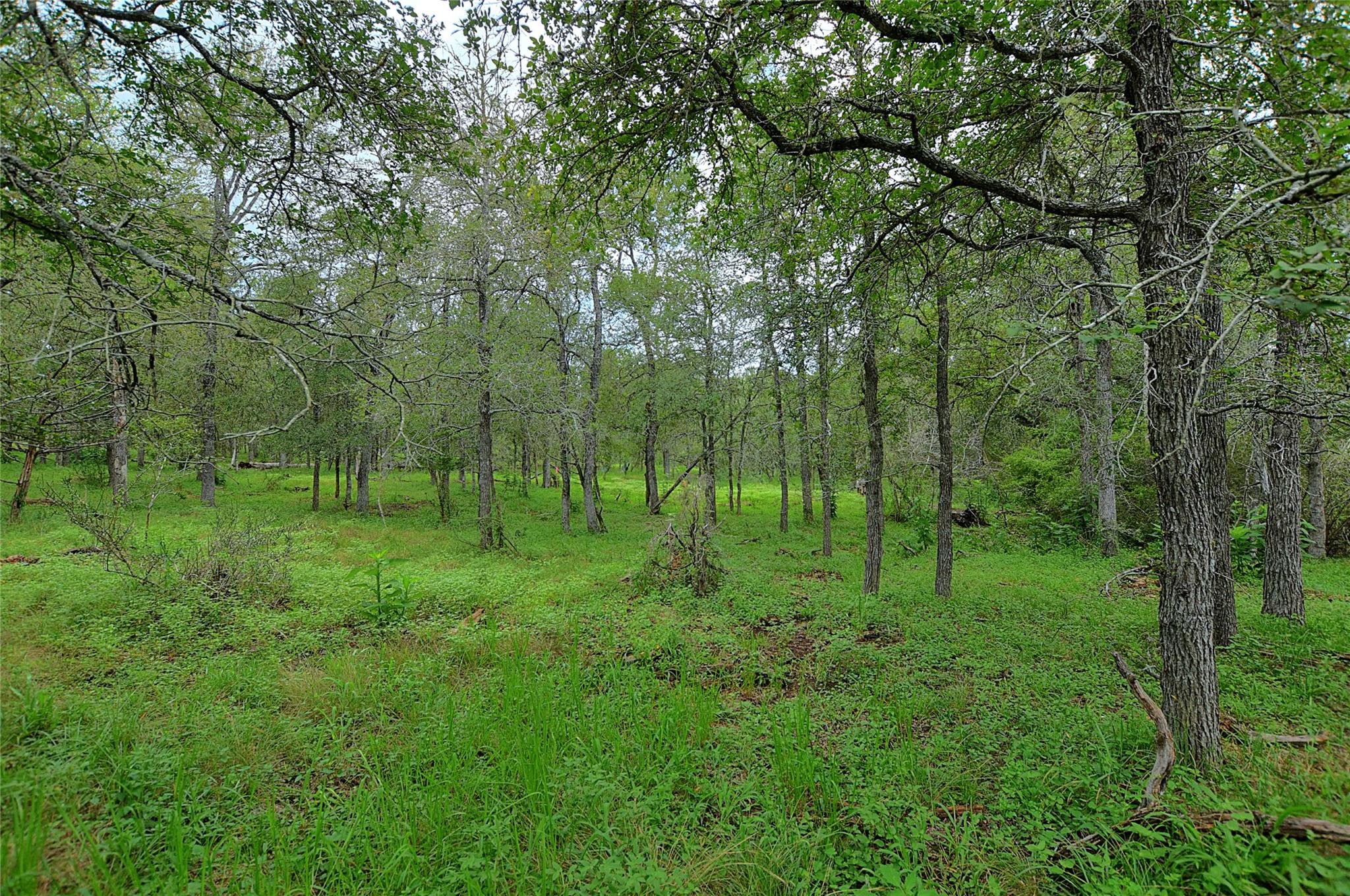 TBD E Whitworth Ln E, Bastrop, TX 78602