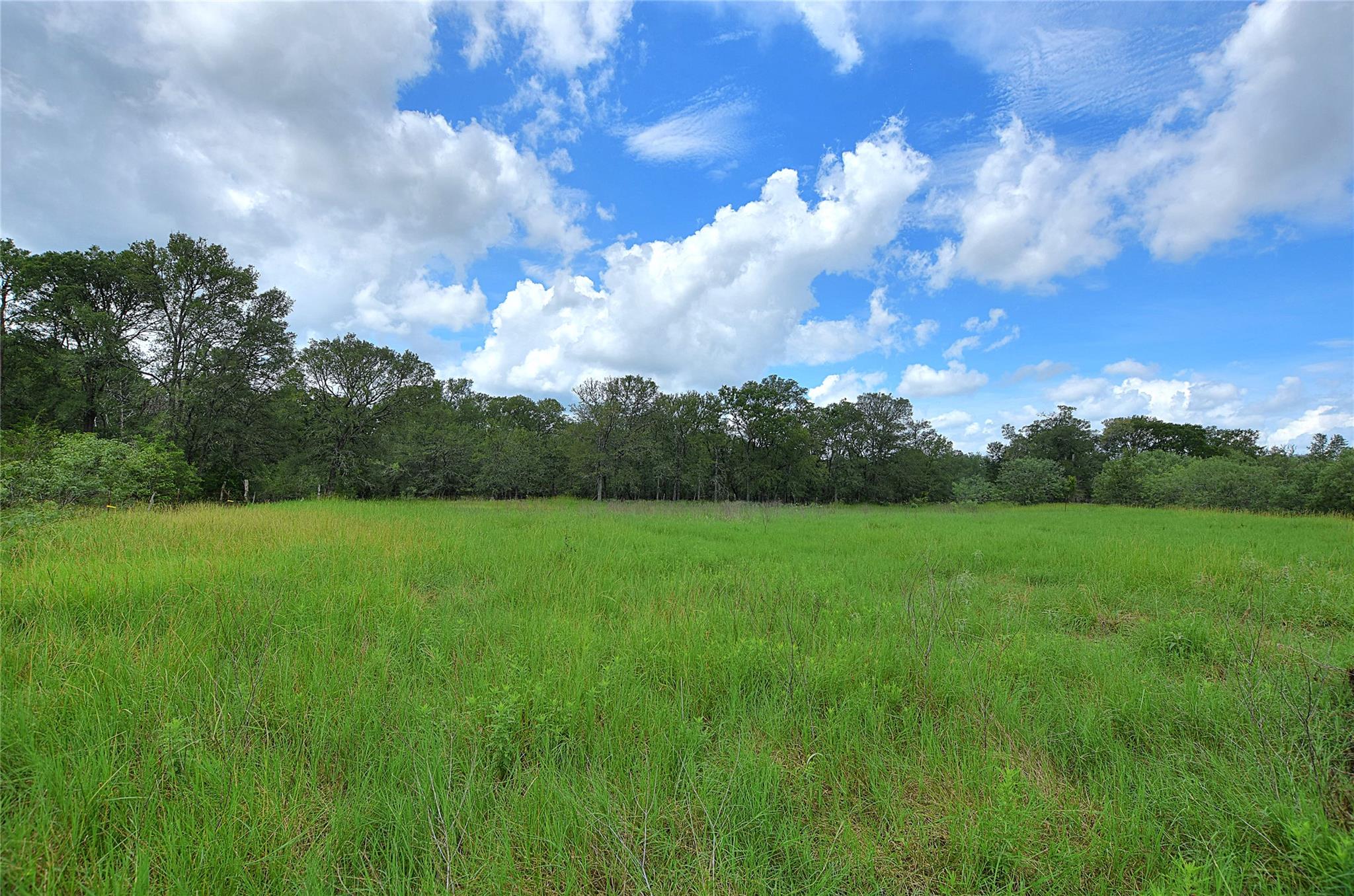 TBD E Whitworth Ln E, Bastrop, TX 78602