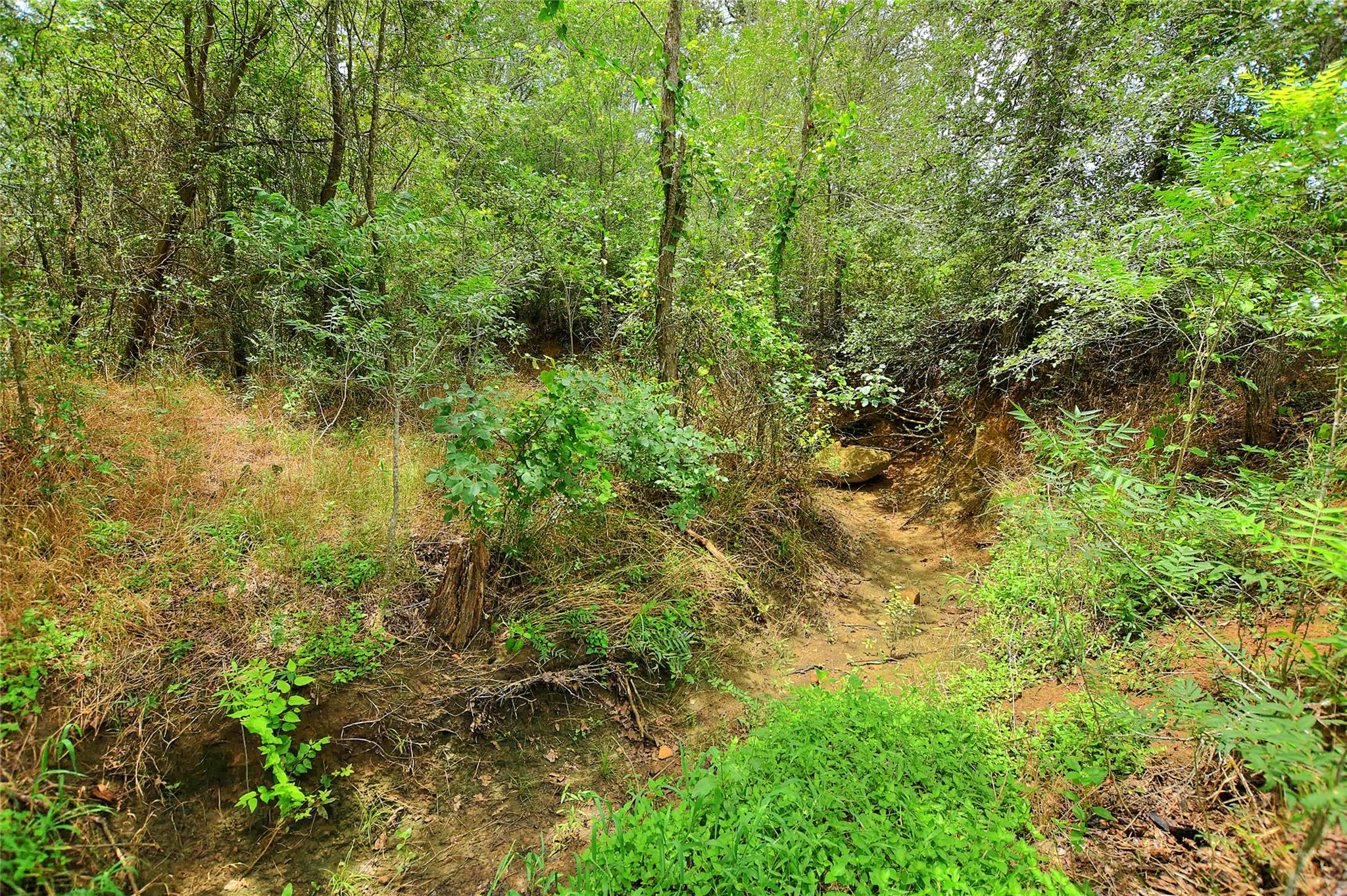 TBD E Whitworth Ln E, Bastrop, TX 78602