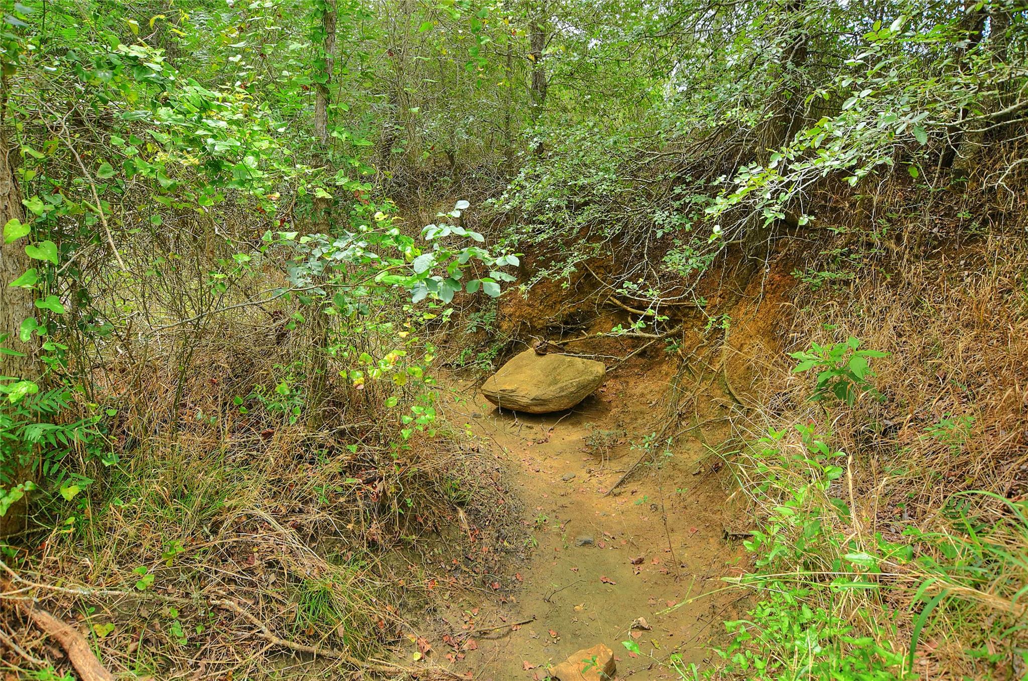 TBD E Whitworth Ln E, Bastrop, TX 78602