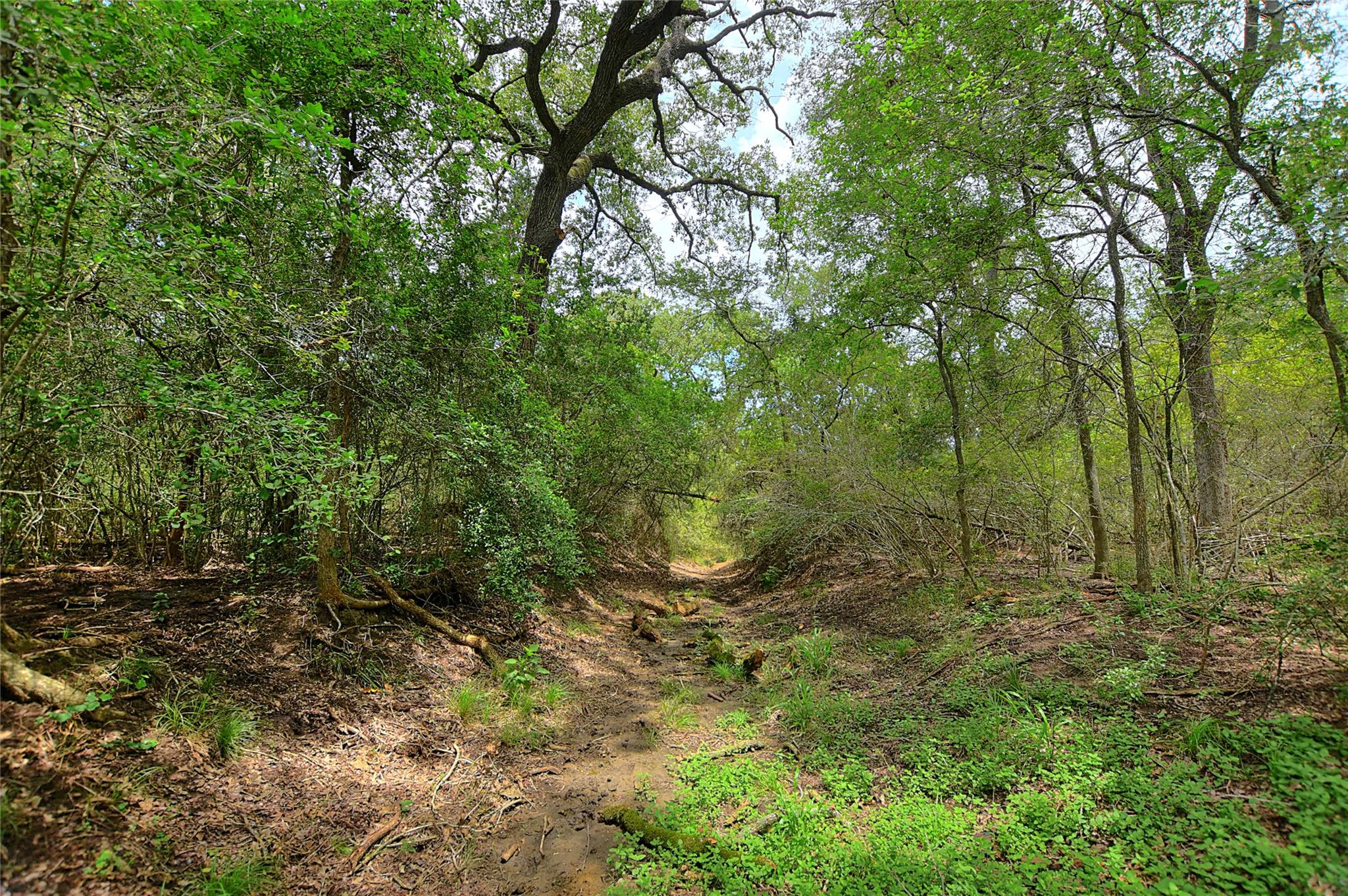 TBD E Whitworth Ln E, Bastrop, TX 78602