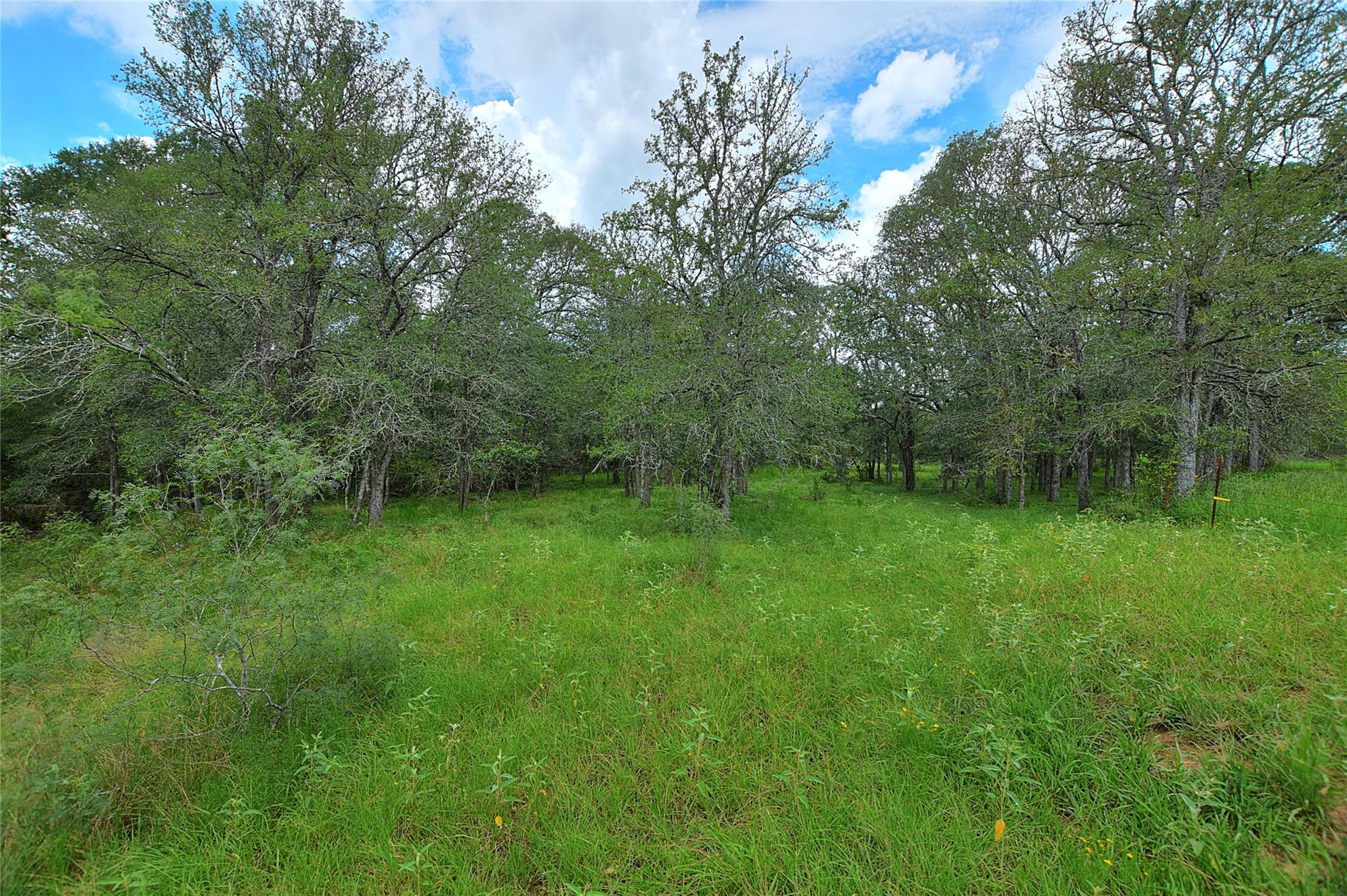 TBD E Whitworth Ln E, Bastrop, TX 78602