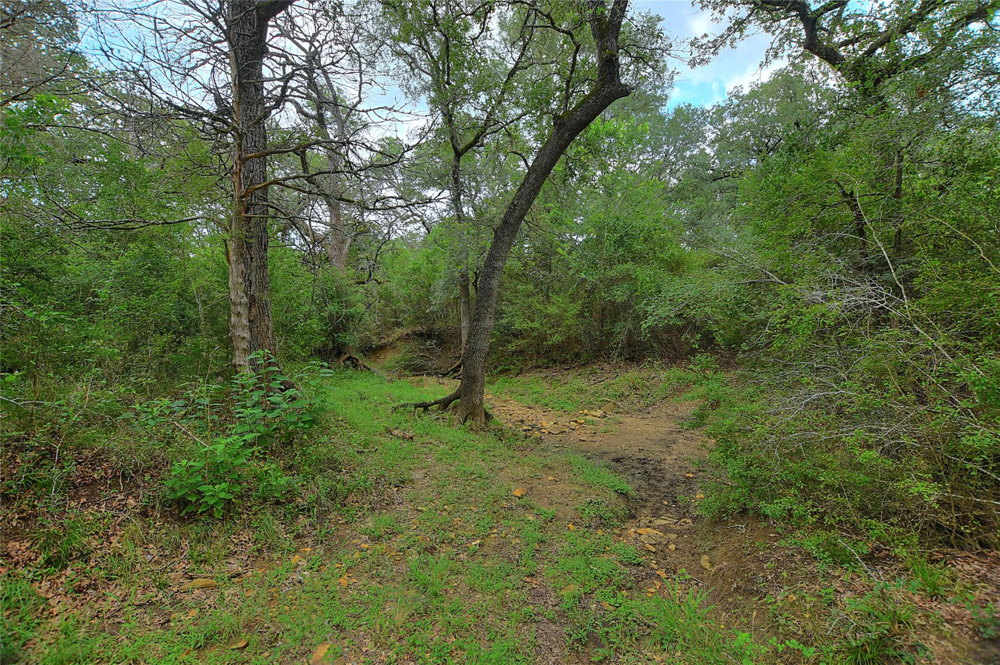 TBD E Whitworth Ln E, Bastrop, TX 78602