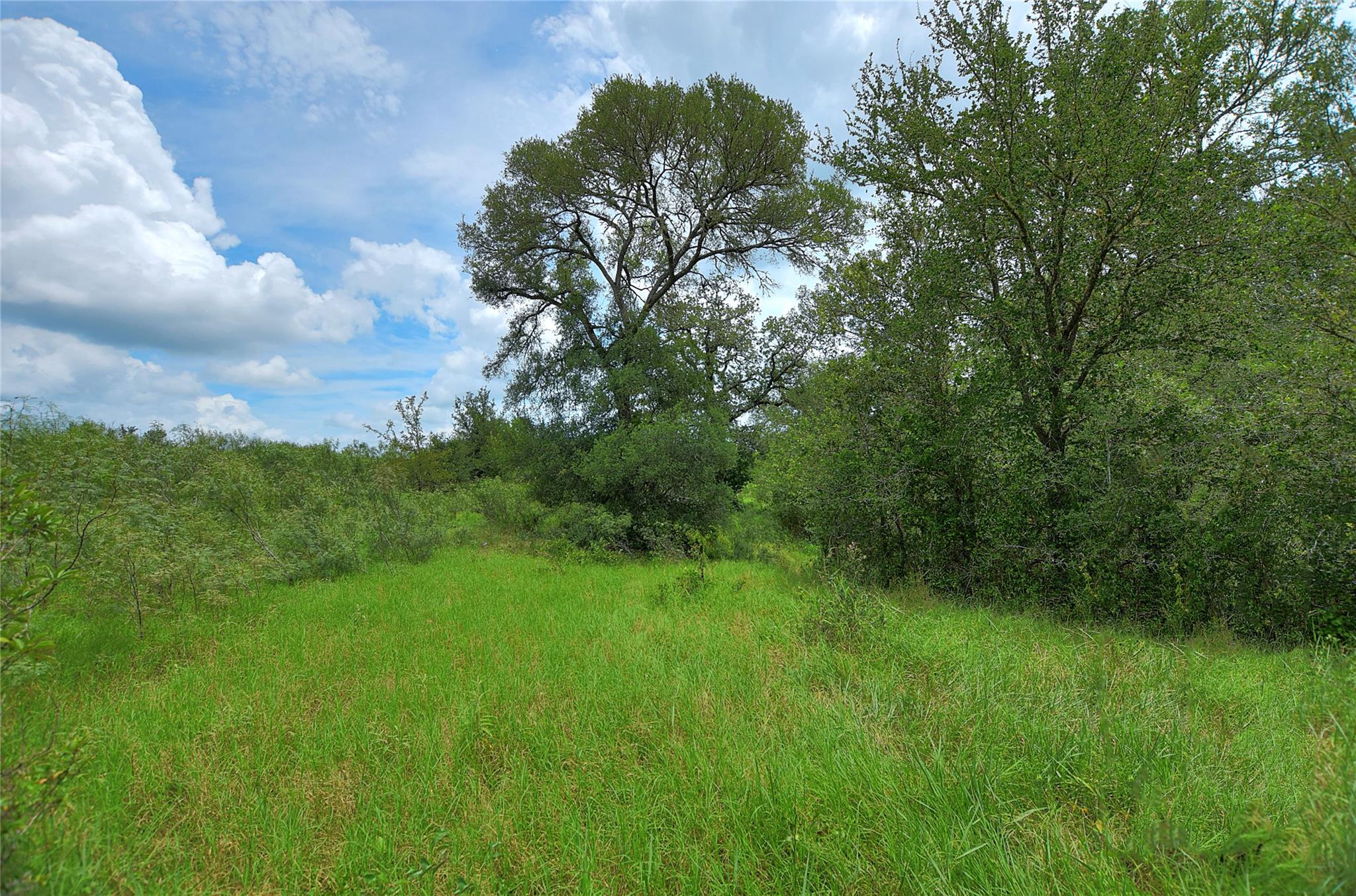 TBD E Whitworth Ln E, Bastrop, TX 78602