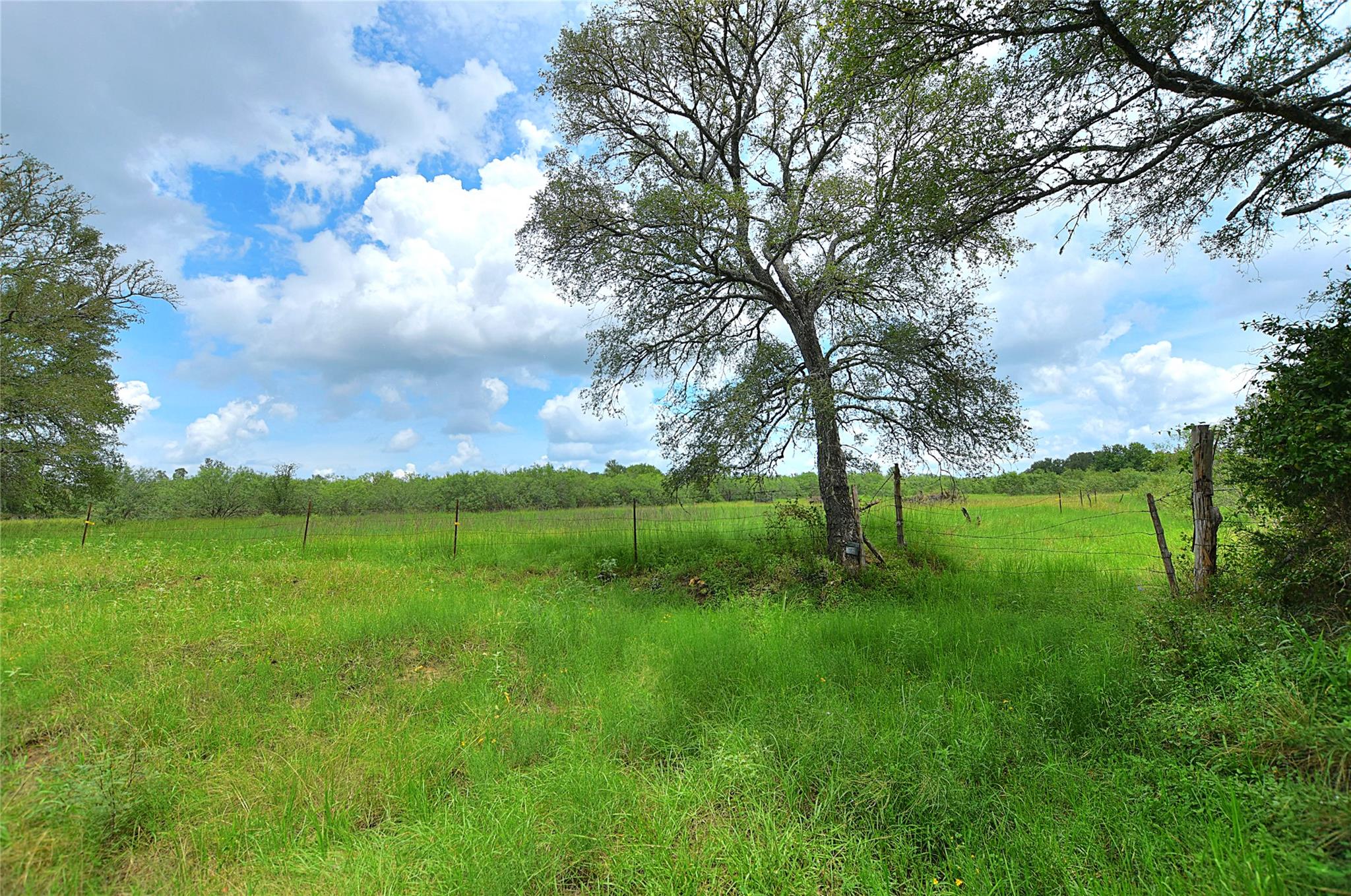 TBD E Whitworth Ln E, Bastrop, TX 78602