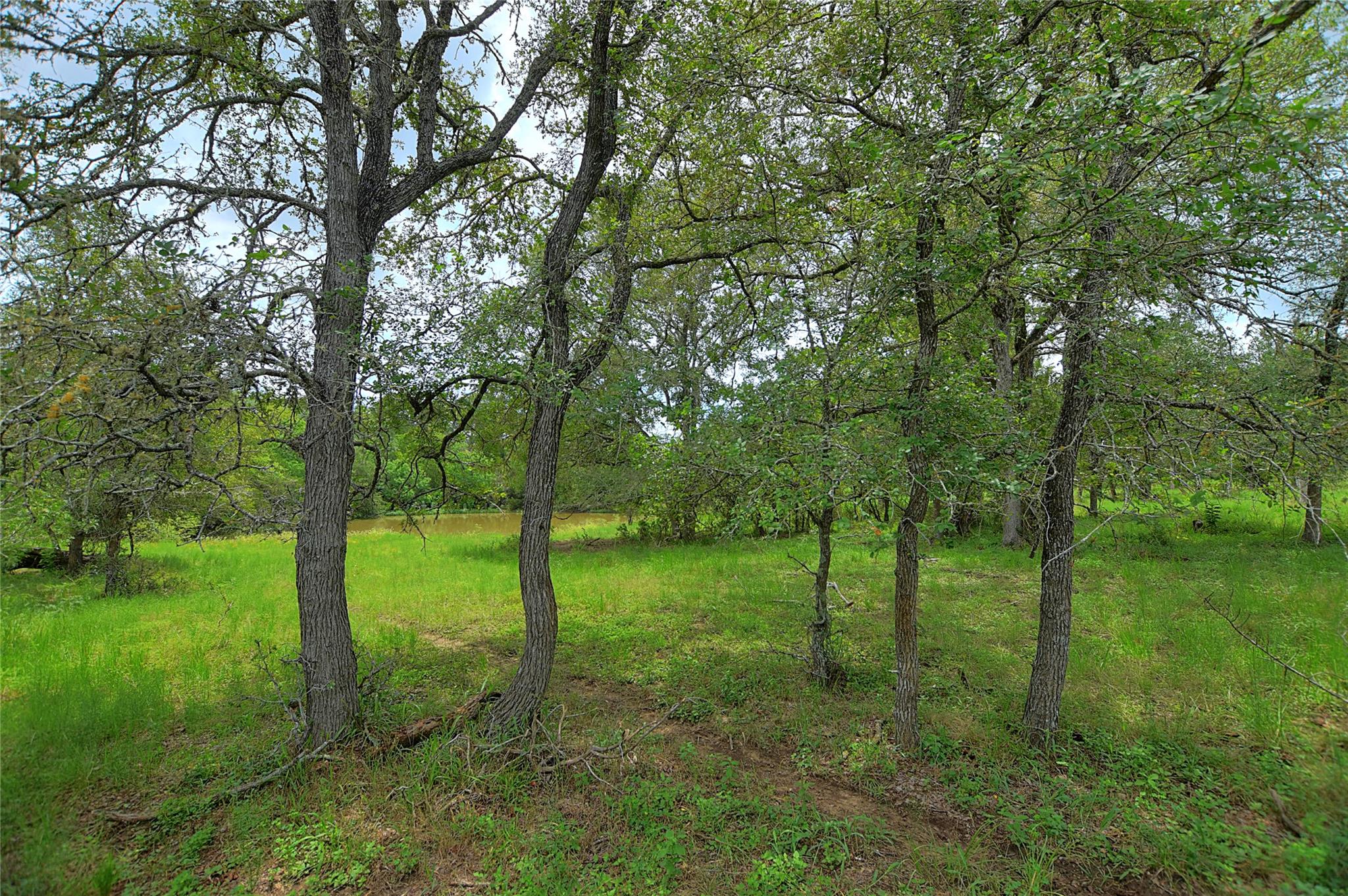 TBD E Whitworth Ln E, Bastrop, TX 78602