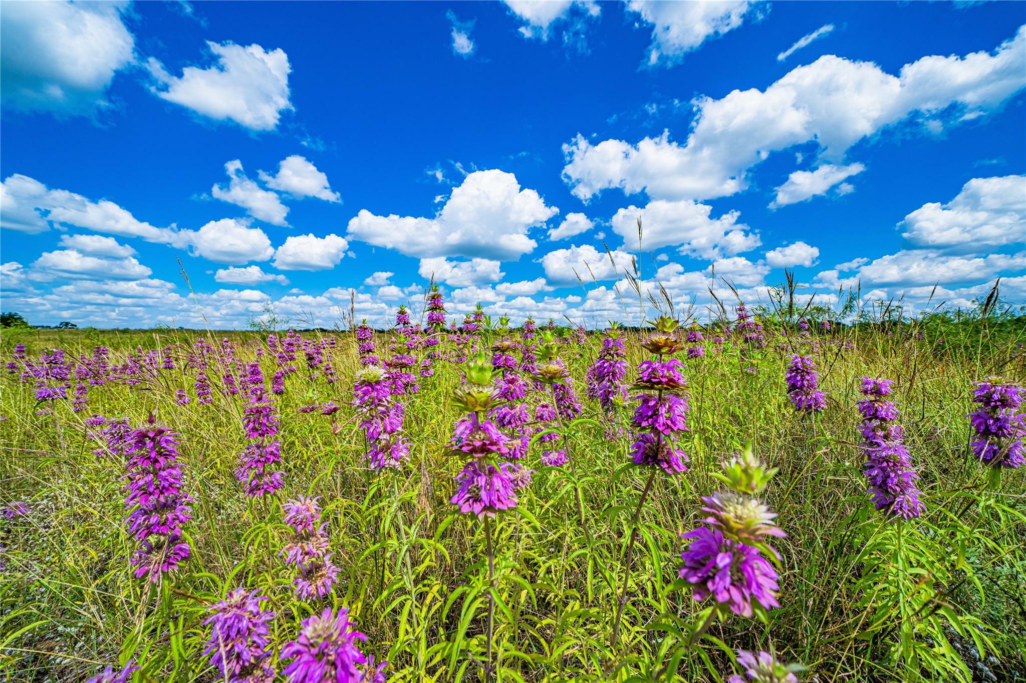 11290 E US Highway 290, Fredericksburg, TX 78624