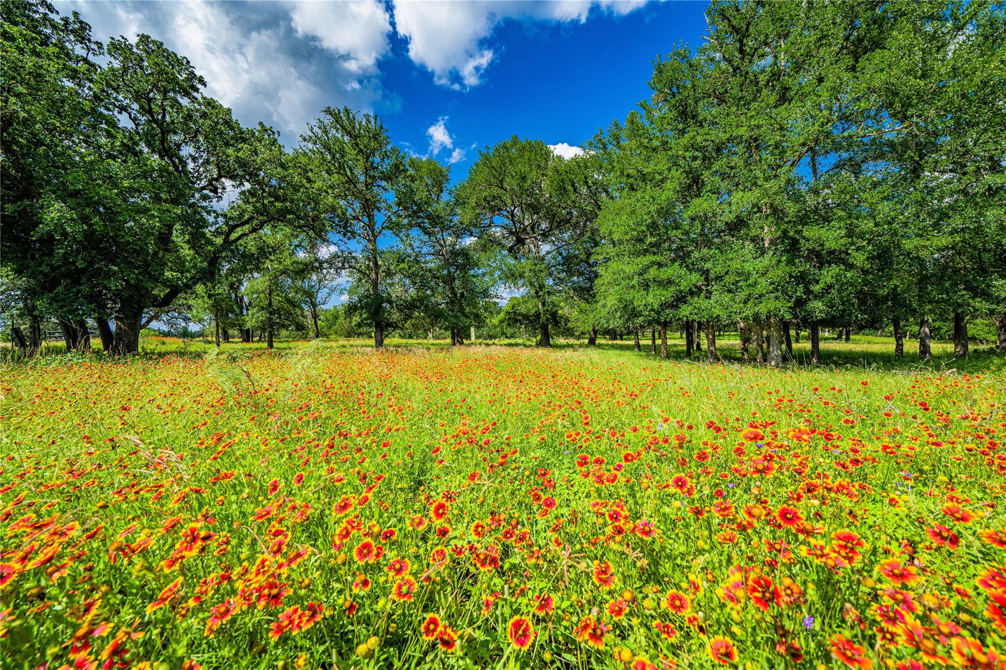 11290 E US Highway 290, Fredericksburg, TX 78624