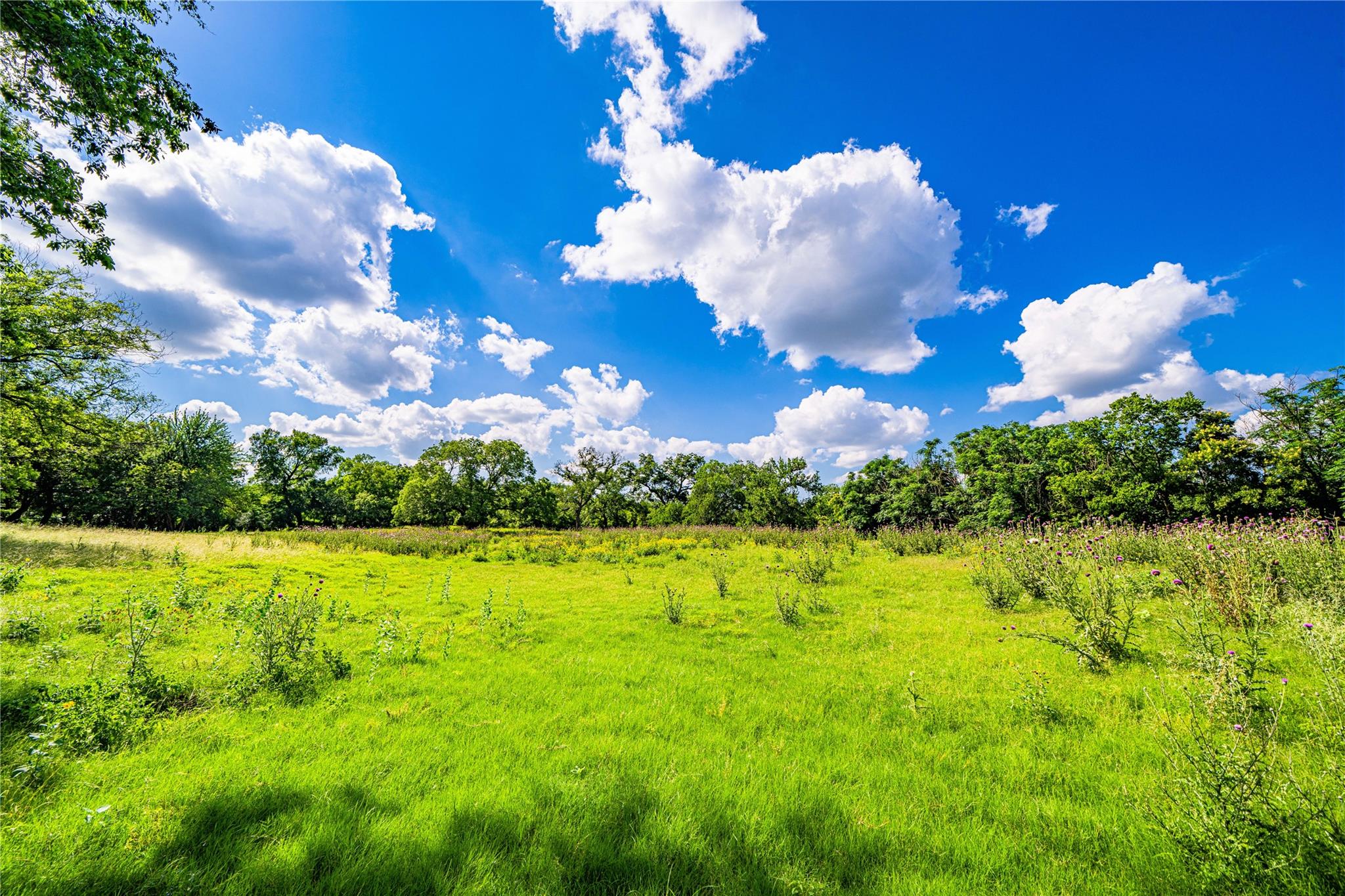 11290 E US Highway 290, Fredericksburg, TX 78624