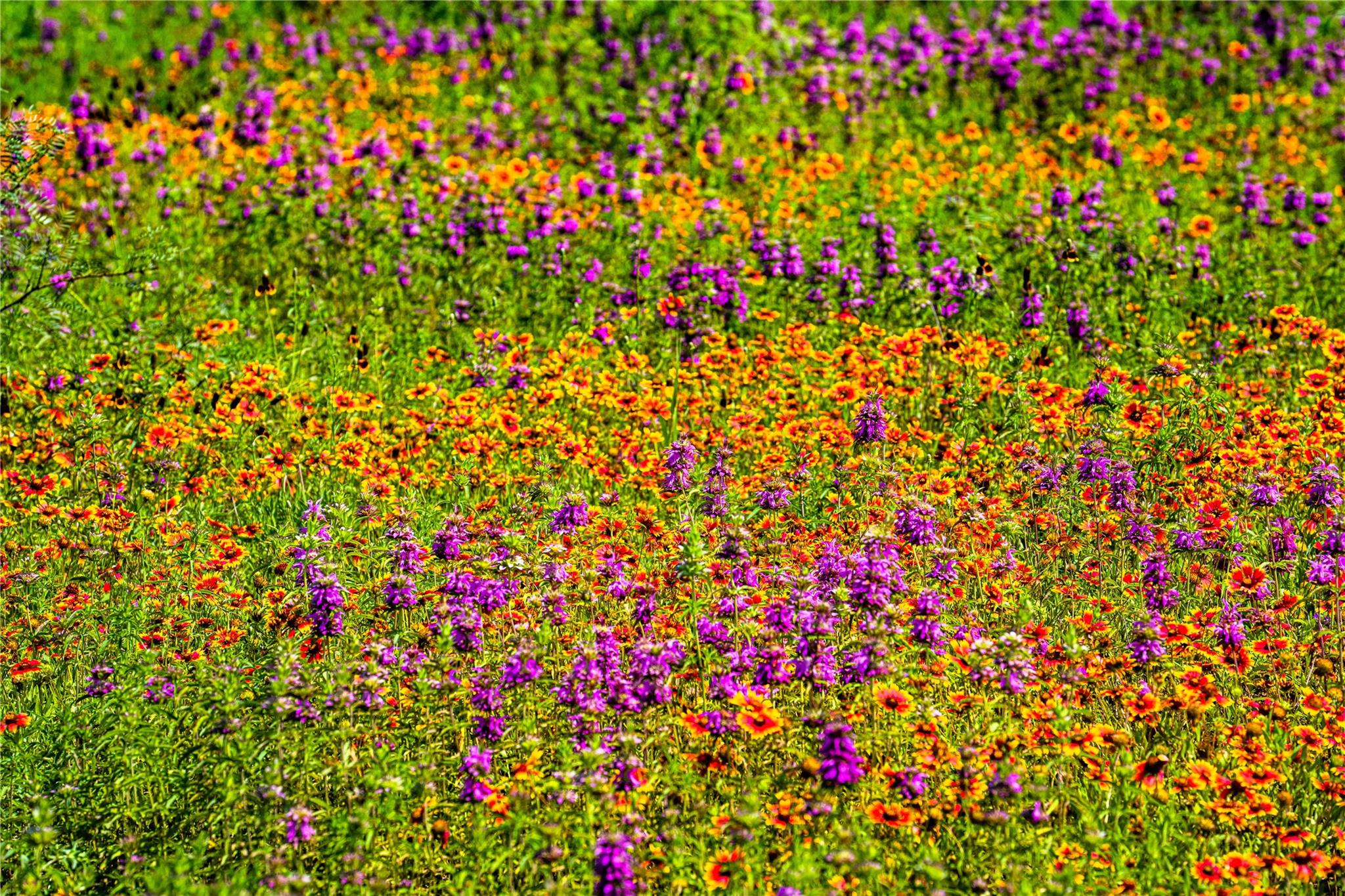 11290 E US Highway 290, Fredericksburg, TX 78624