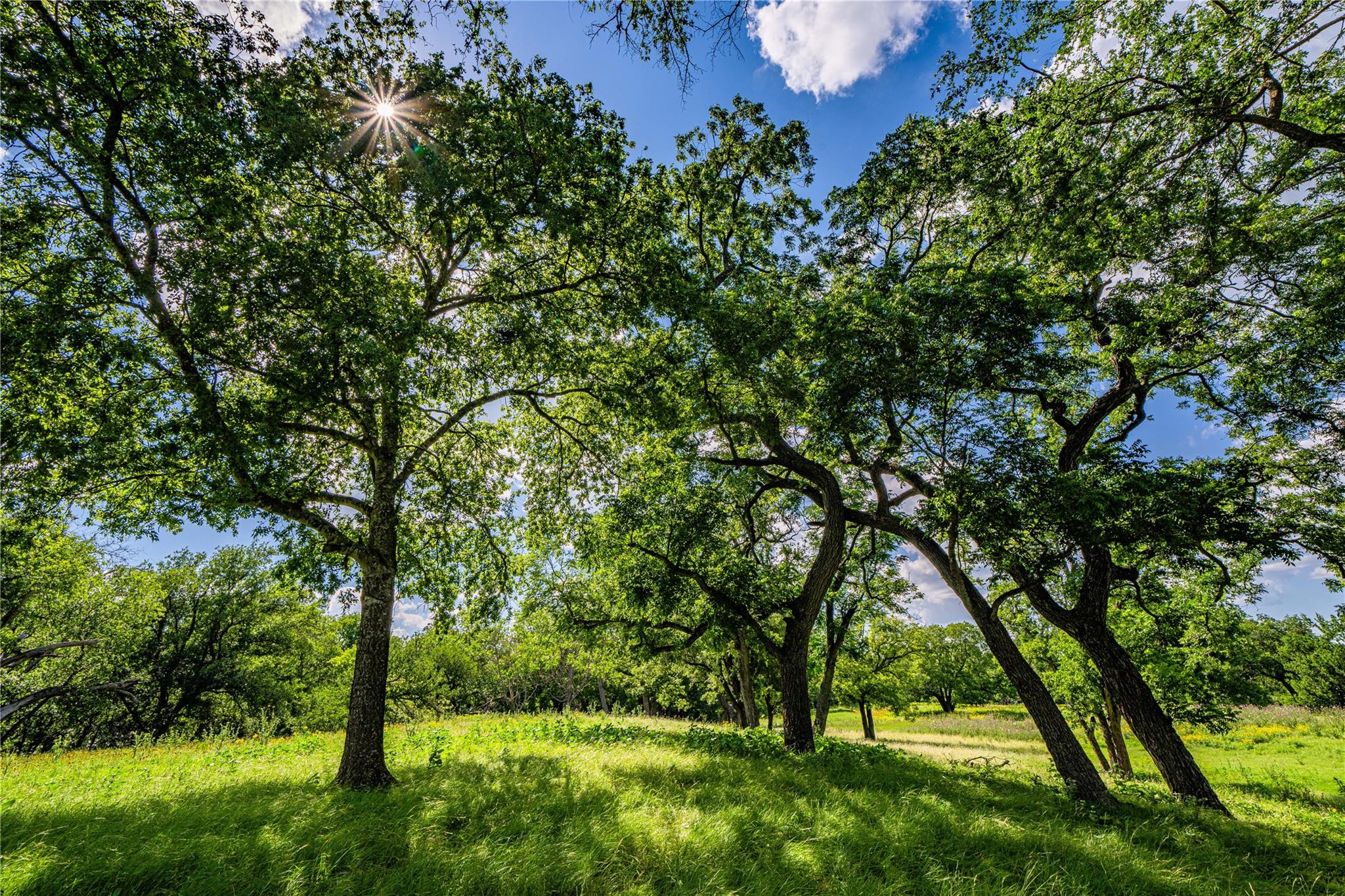 11290 E US Highway 290, Fredericksburg, TX 78624