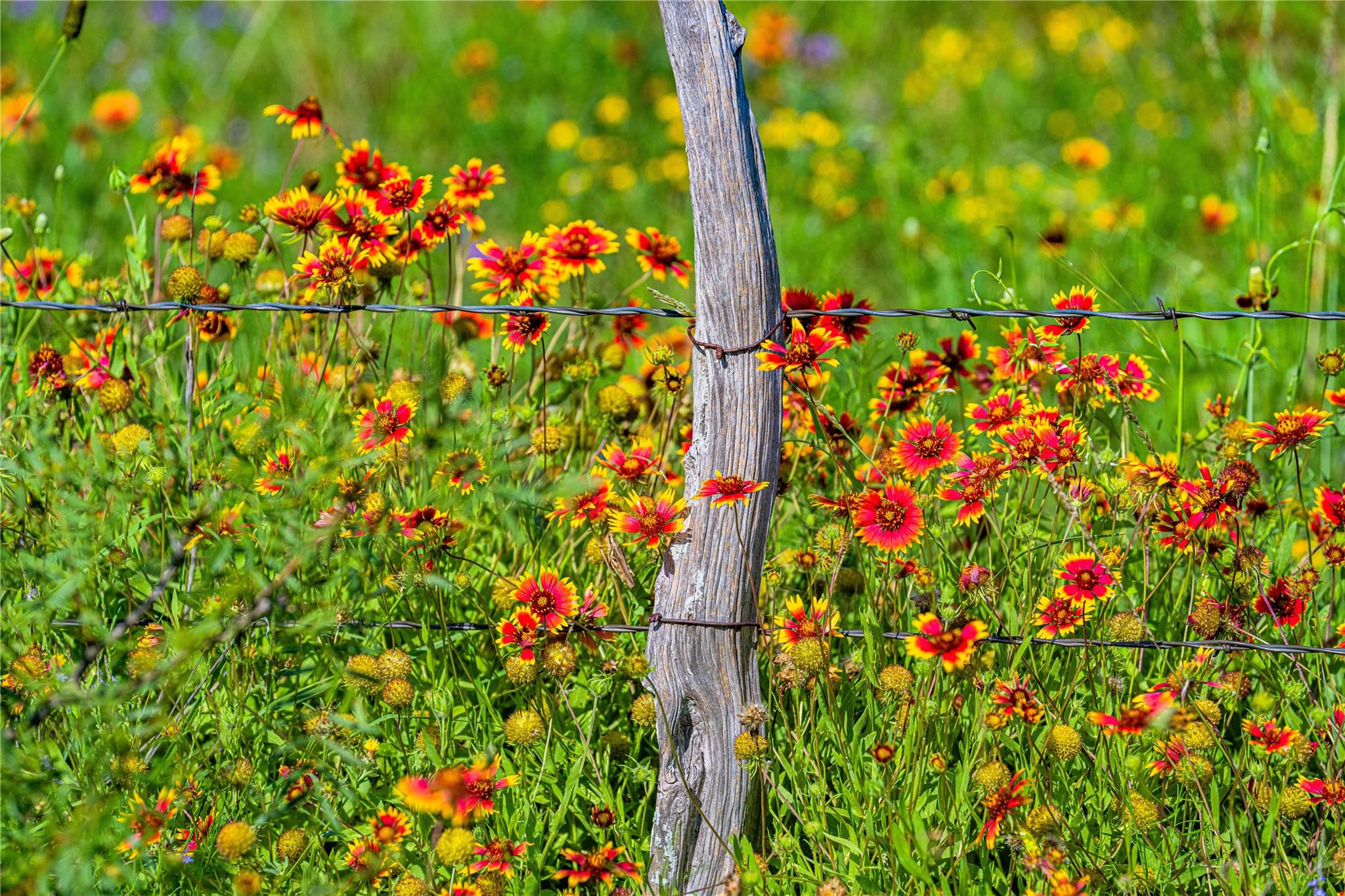 11290 E US Highway 290, Fredericksburg, TX 78624