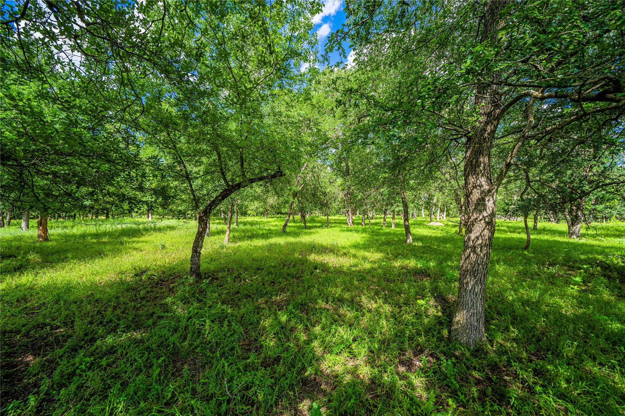 11290 E US Highway 290, Fredericksburg, TX 78624