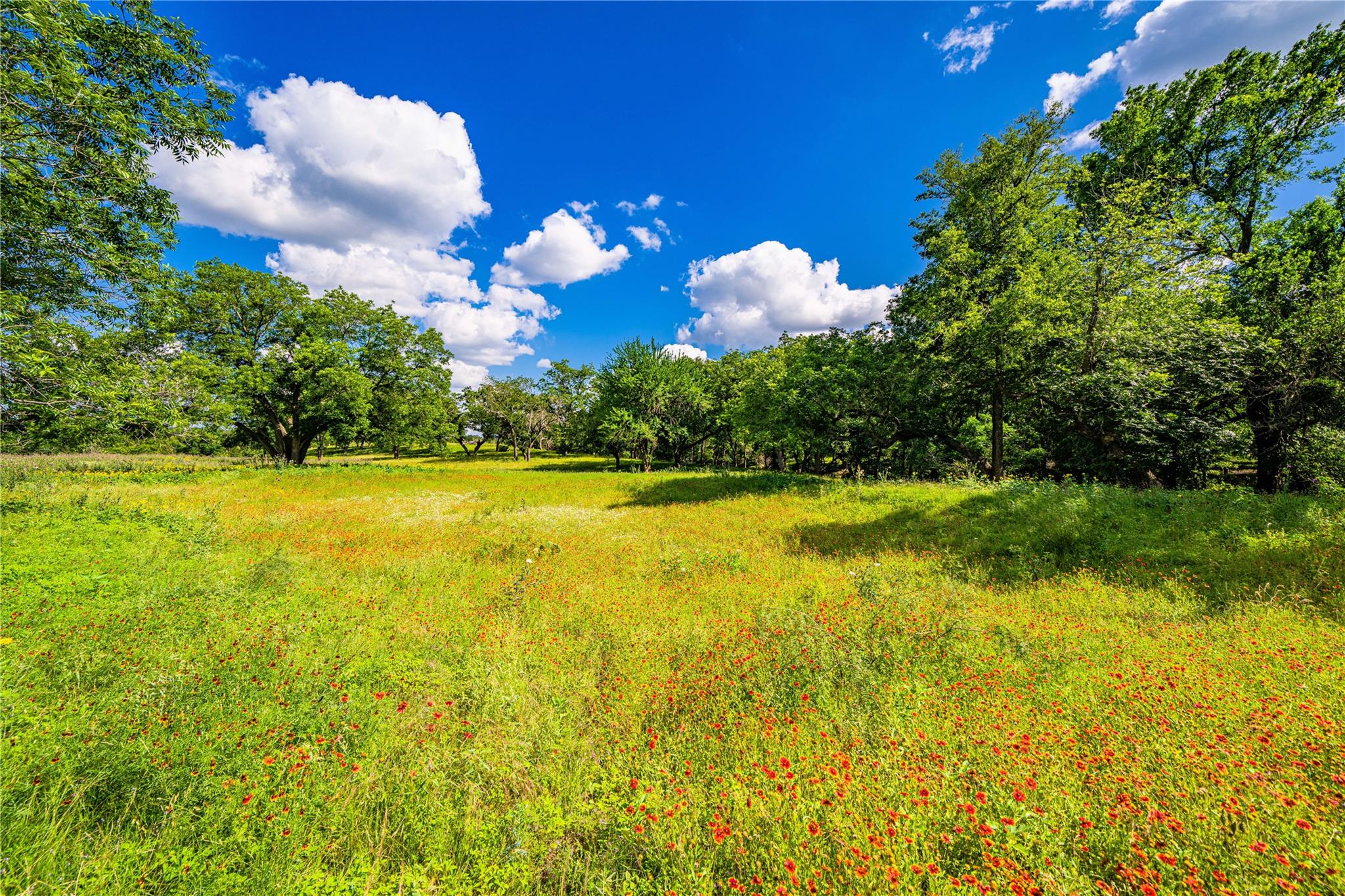 11290 E US Highway 290, Fredericksburg, TX 78624