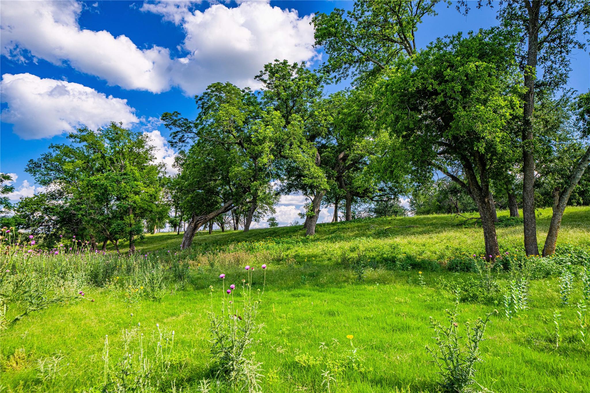 11290 E US Highway 290, Fredericksburg, TX 78624