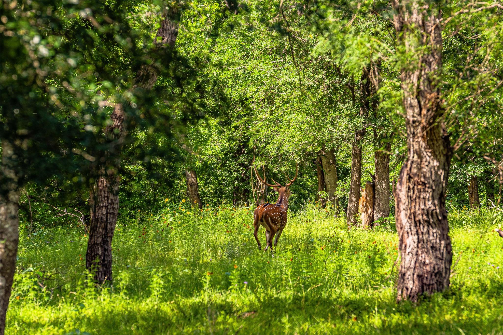11290 E US Highway 290, Fredericksburg, TX 78624