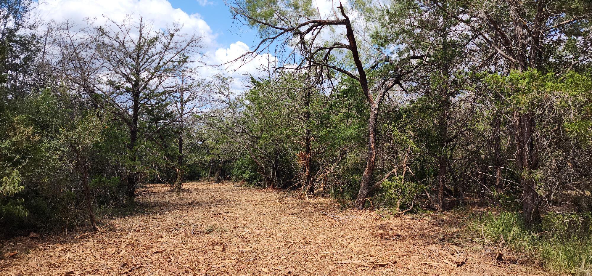 TBD Milam Ln, Bastrop, TX 78602