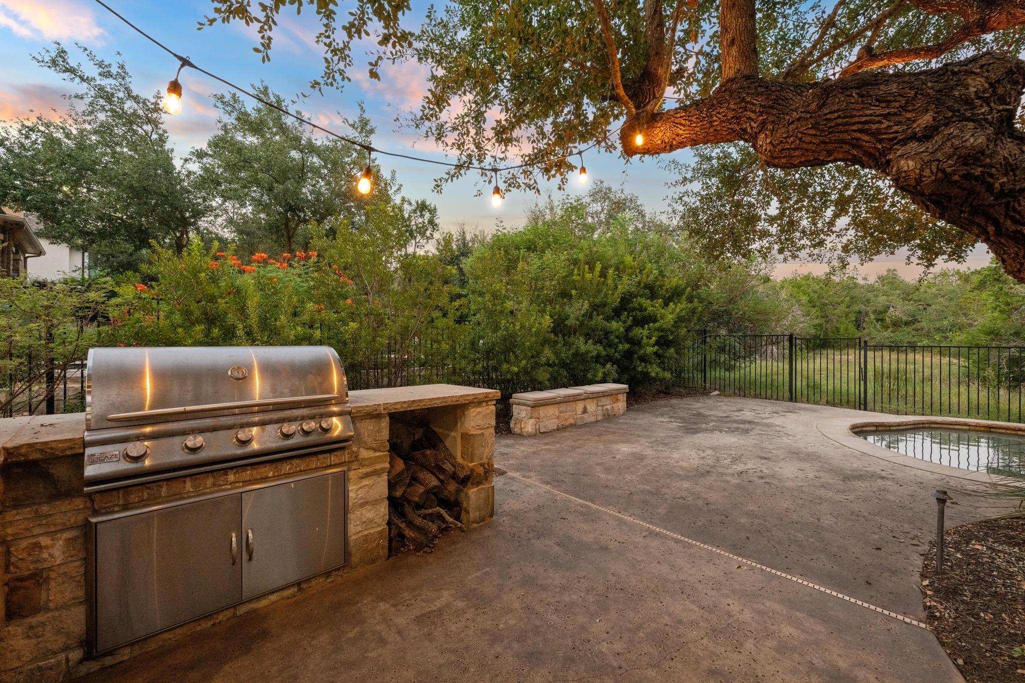 17309 Rush Pea Cir, Austin, TX 78738