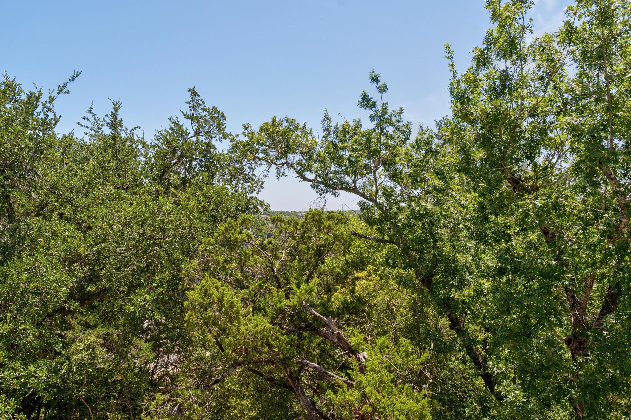 9602 Petite Cove II, Austin, TX 78750