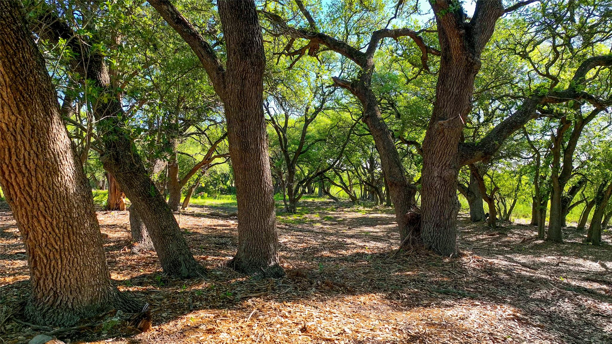 TBD CR108, Burnet, TX 78611