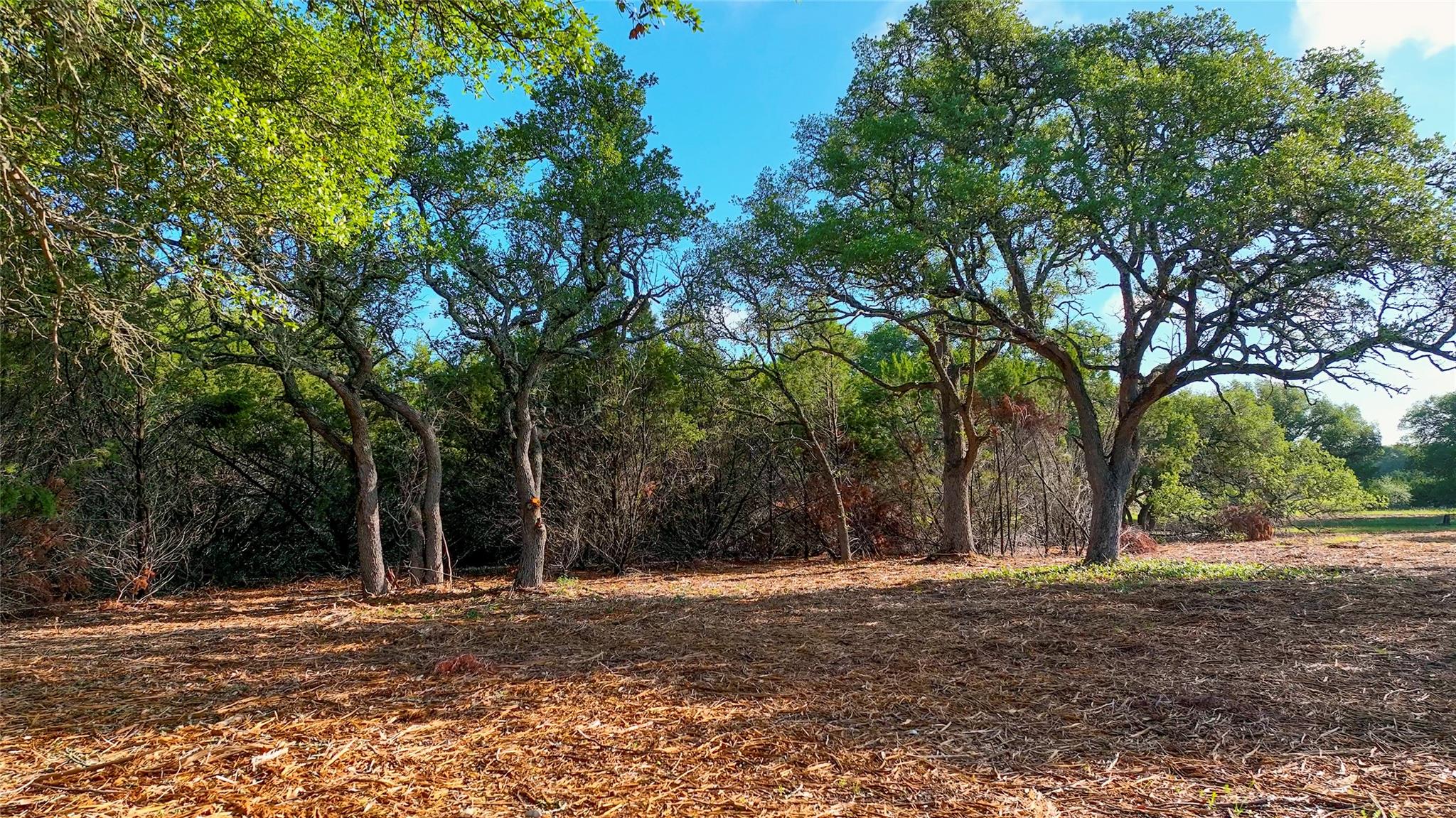 TBD CR108, Burnet, TX 78611