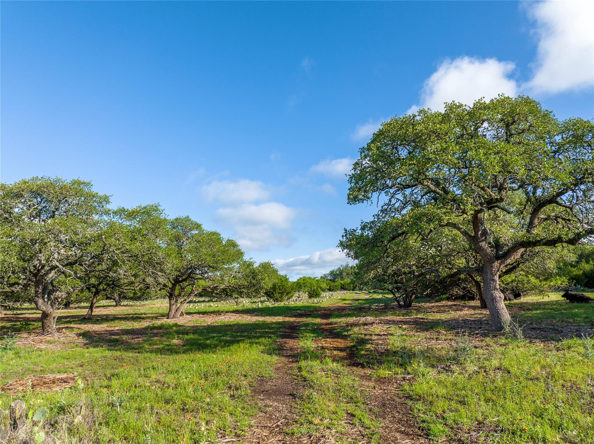 TBD CR108, Burnet, TX 78611