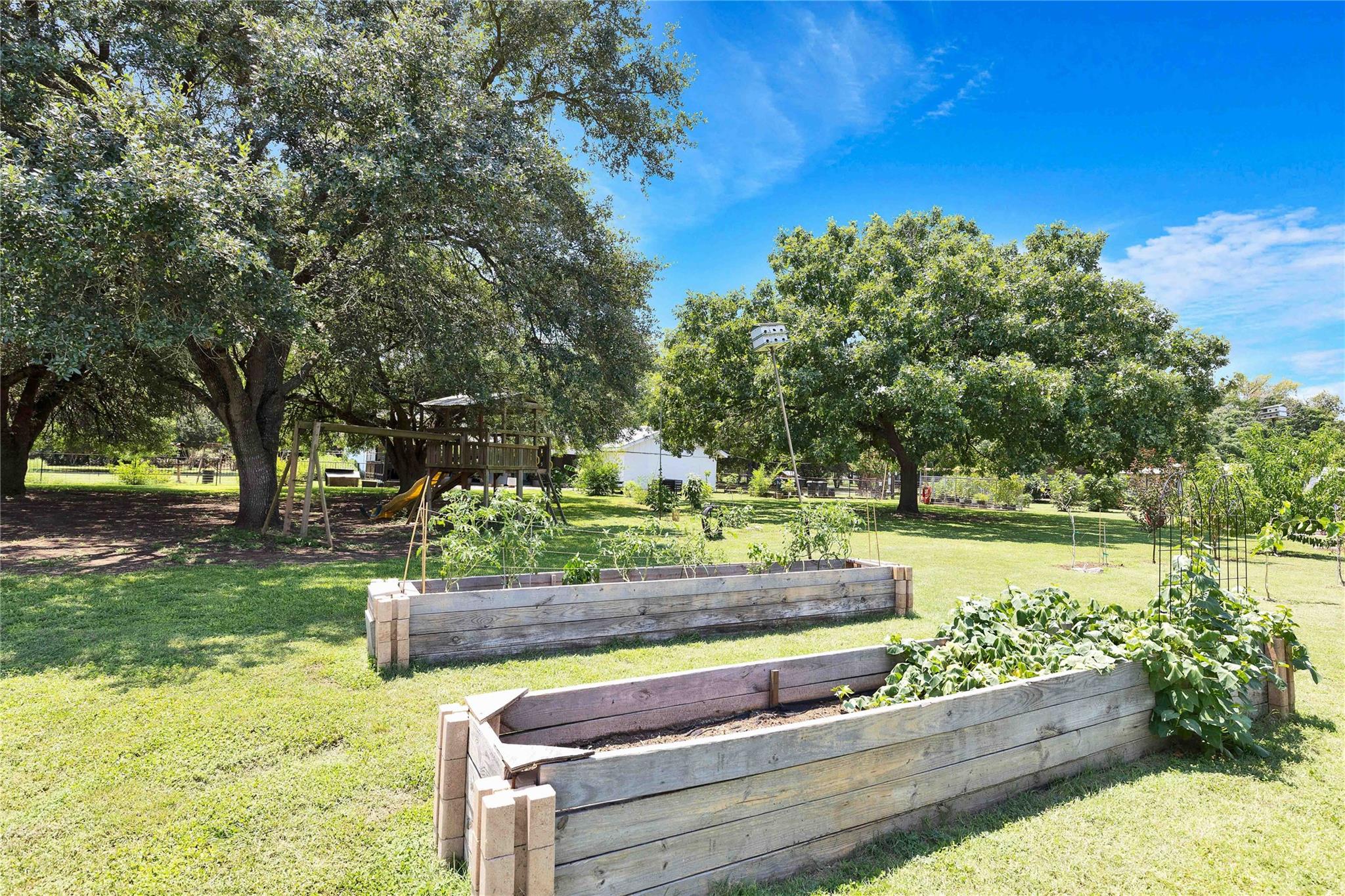 18700 San Marcos Highway, Martindale, TX 78655