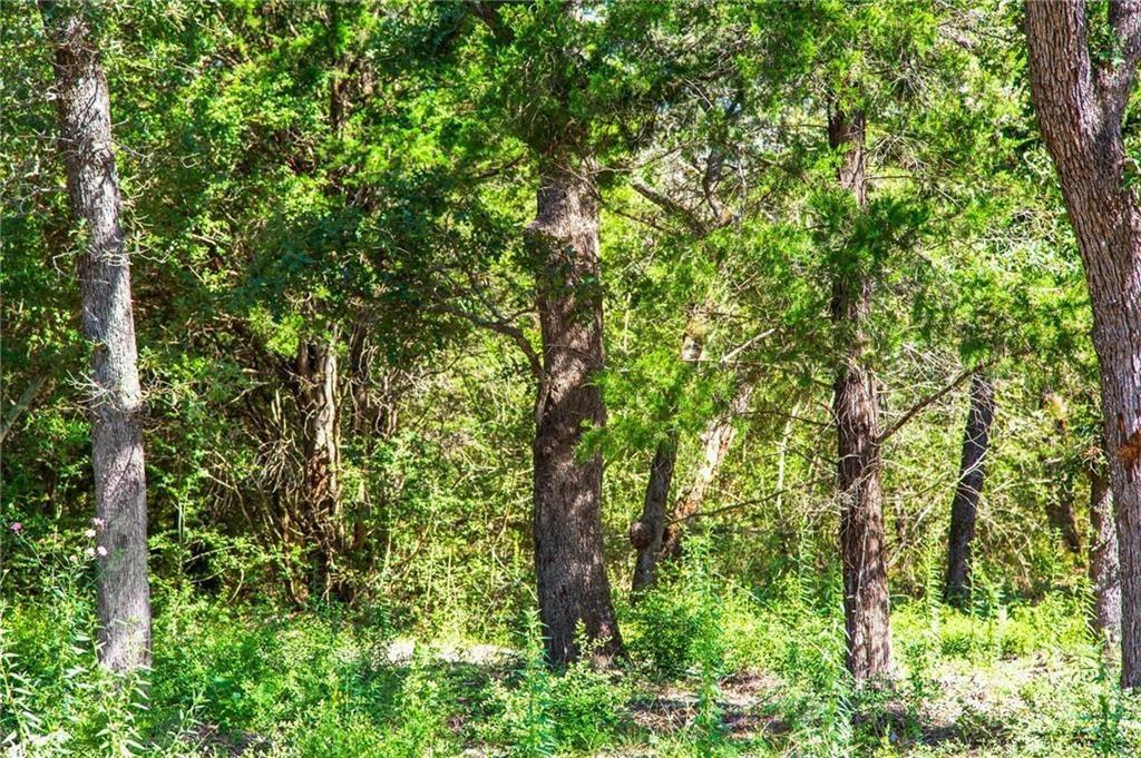 1136 Oak View Ln # Lot 22, Thrall, TX 76578