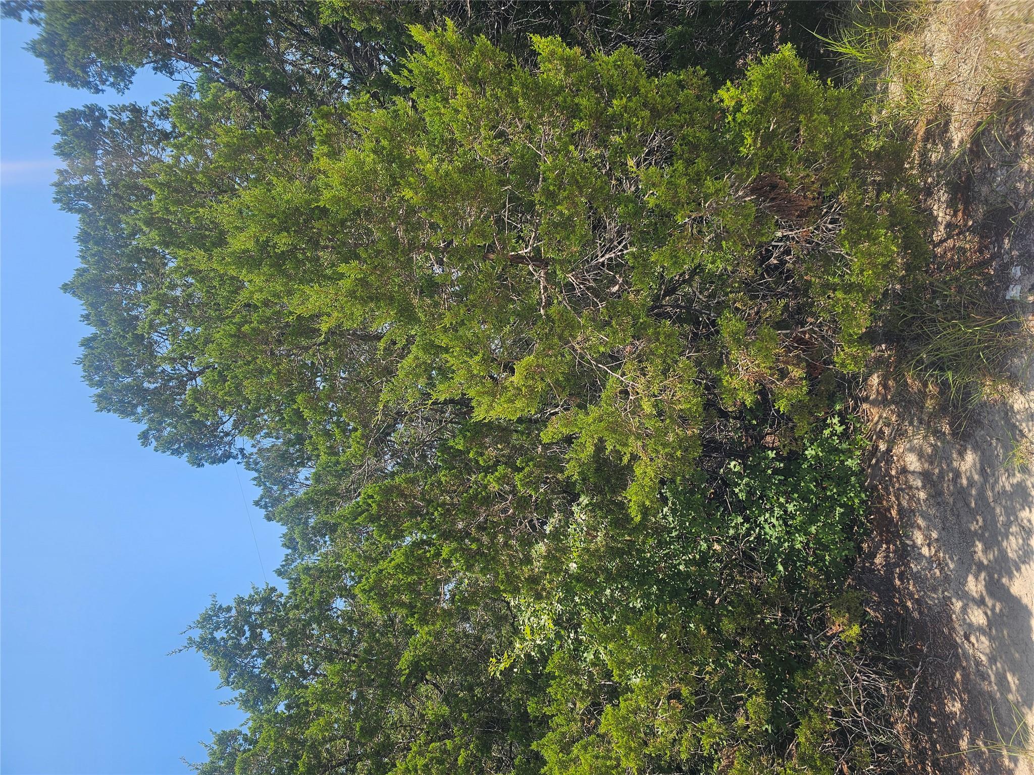 20400 Archer Cv, Lago Vista, TX 78645