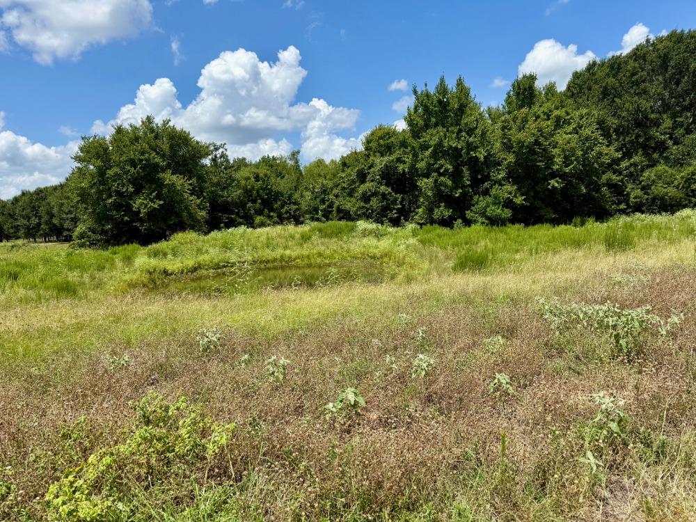 1611 W Fm 696, Lexington, TX 78947