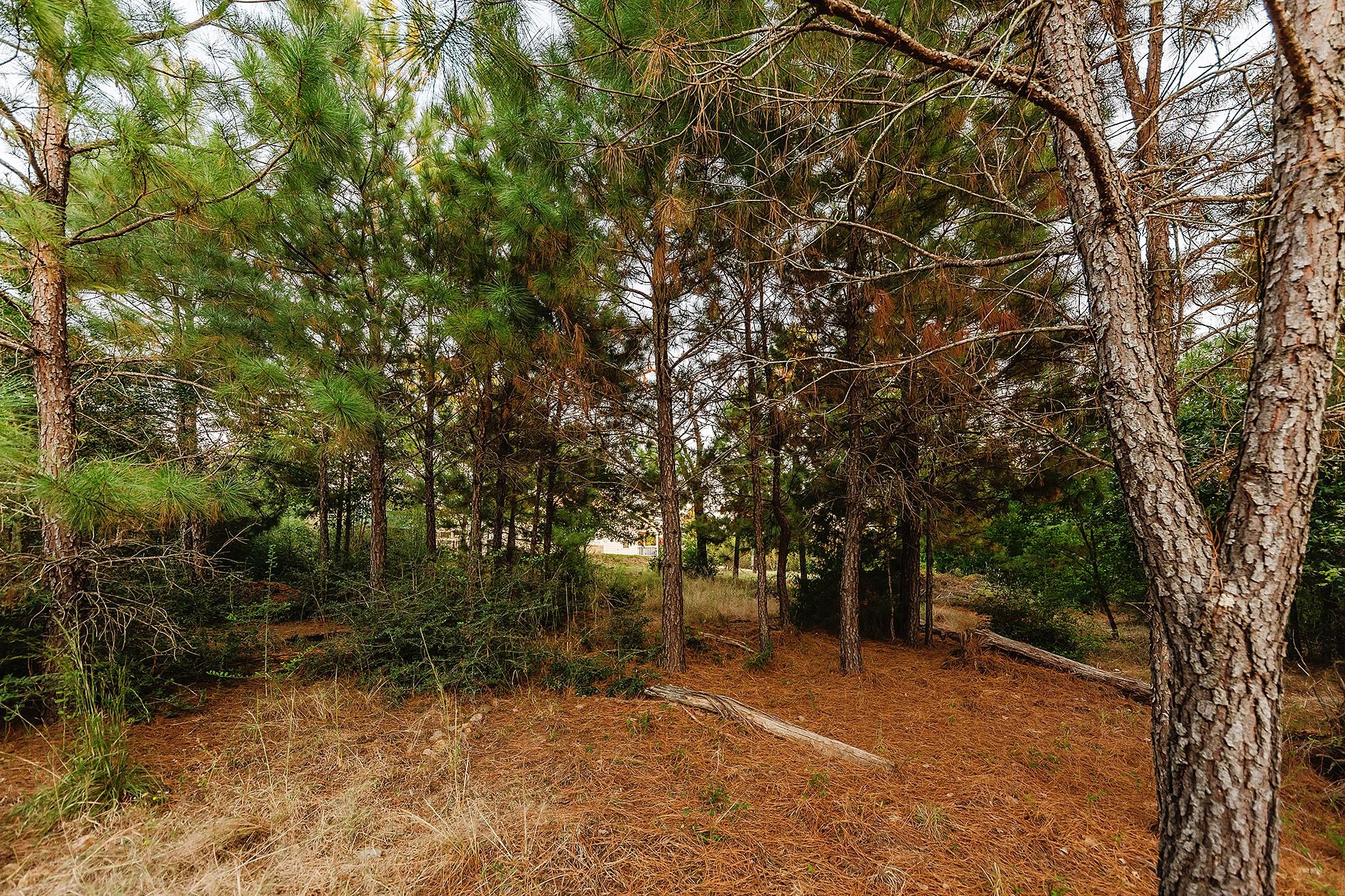 139 Village Forest Dr, Smithville, TX 78957