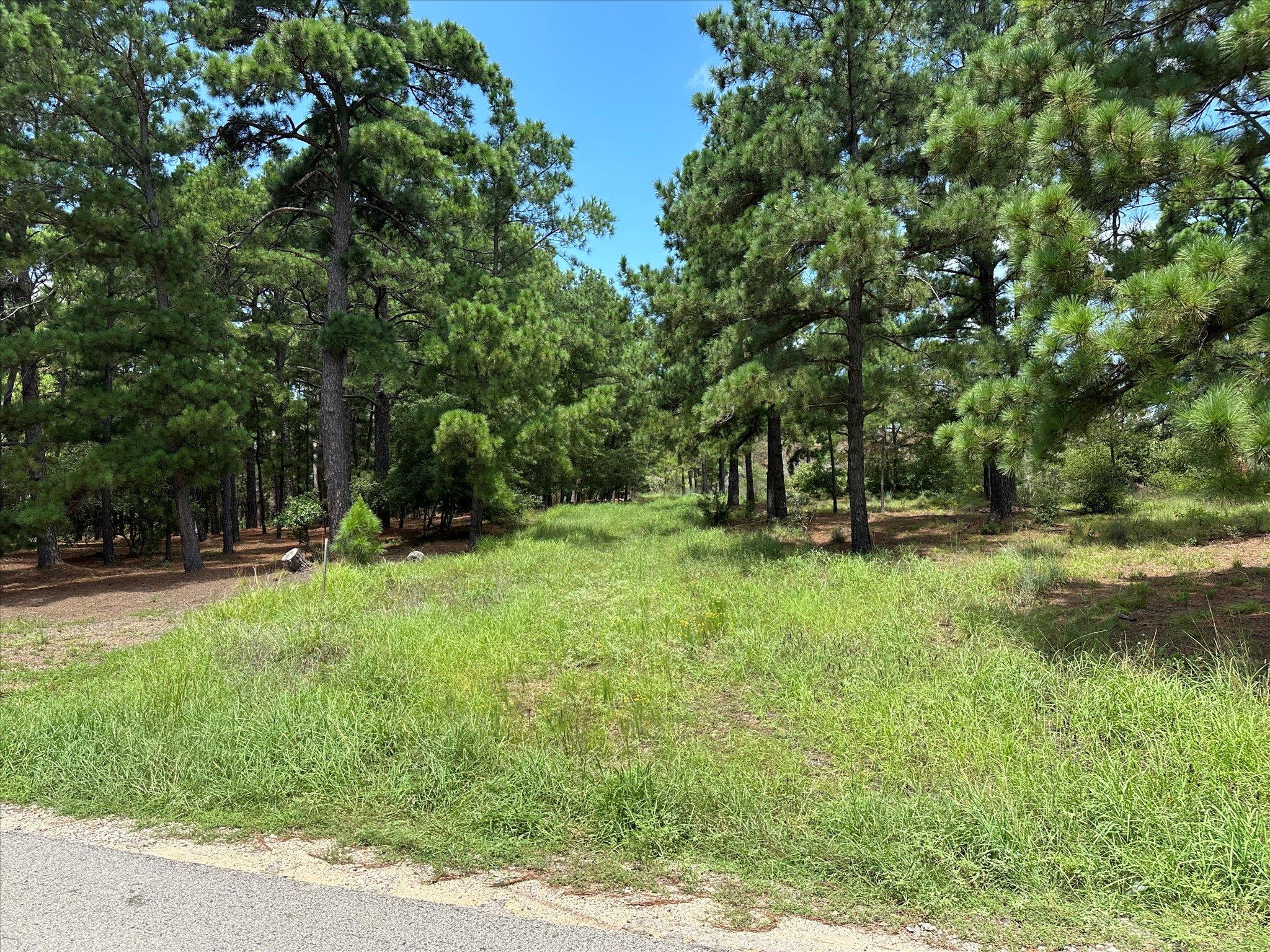 Lot 54 Akala Ln, Bastrop, TX 78602