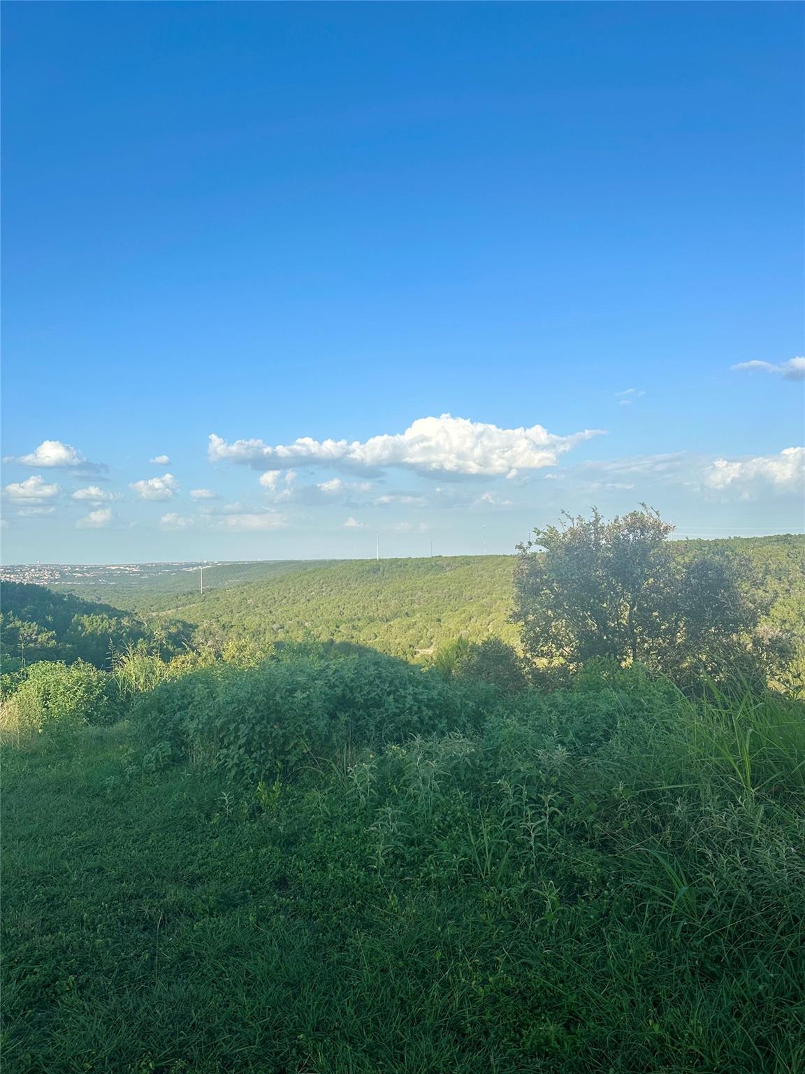 10519 Ridge Rim Dr, Leander, TX 78641