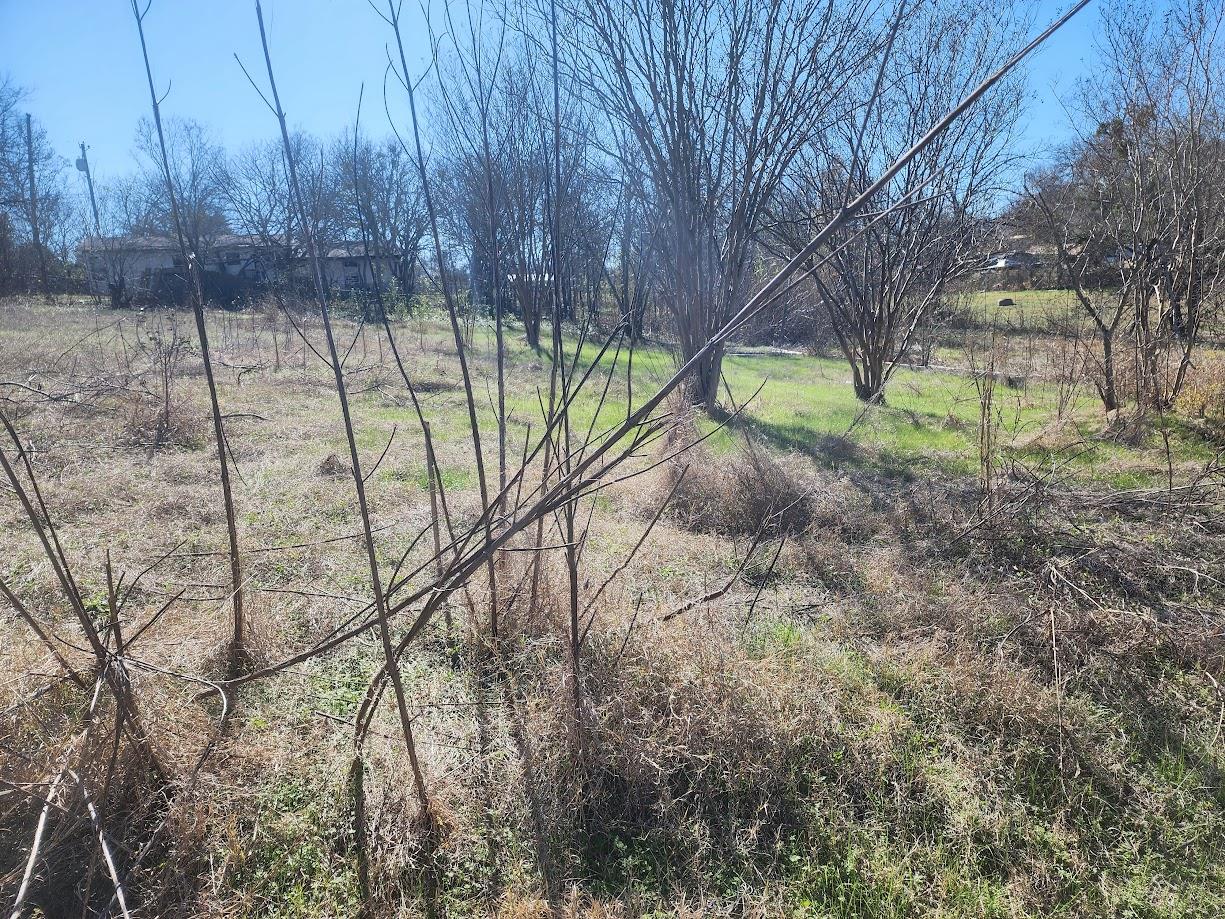 Non at this time E Townes St, Manor, TX 78653