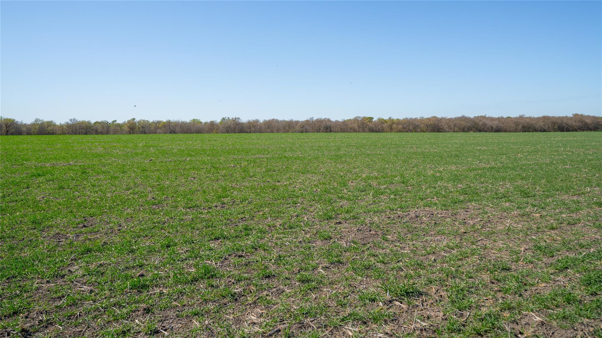 2396-D County Road 112, Buckholts, TX 76518