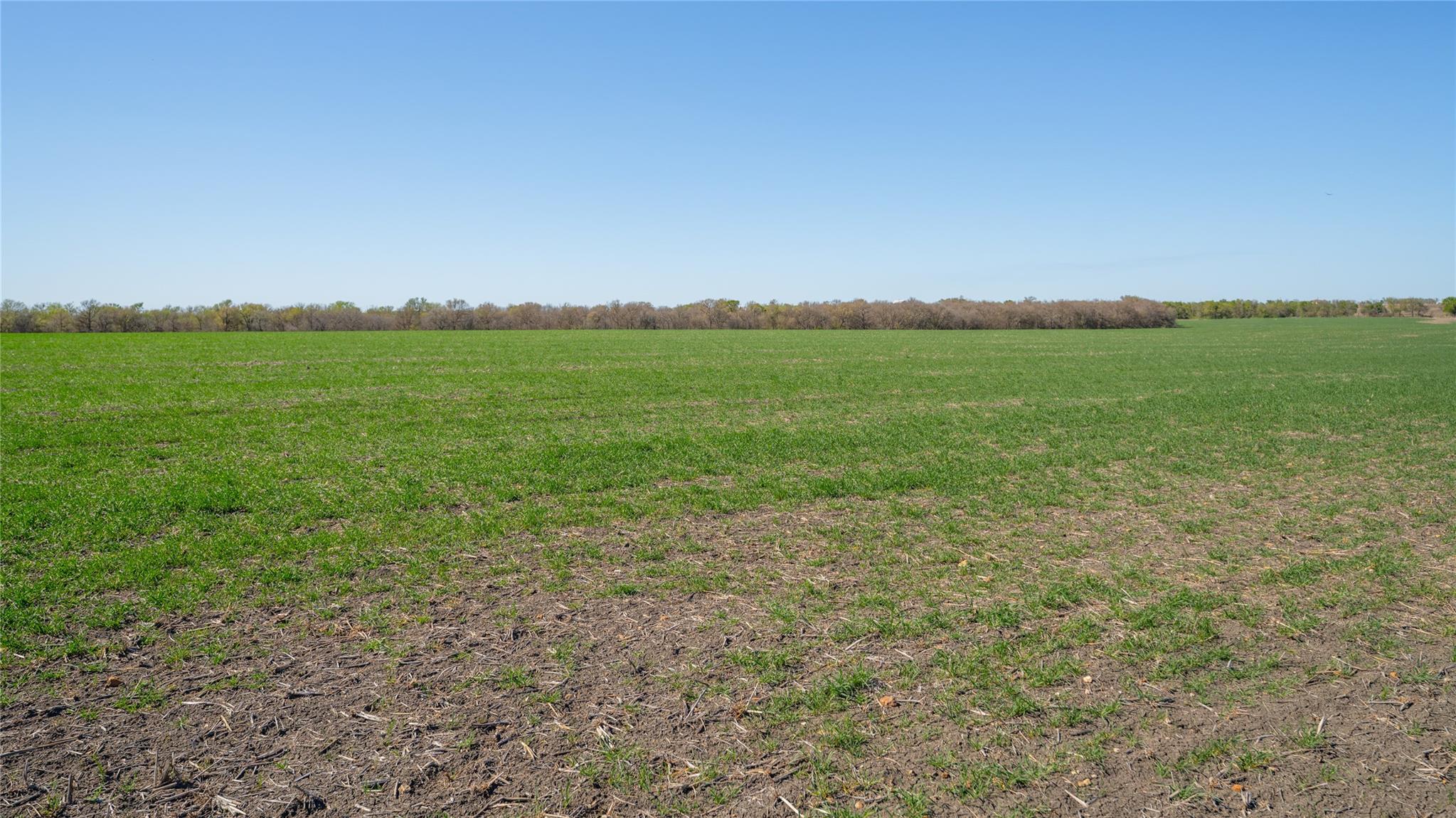 2396-D County Road 112, Buckholts, TX 76518