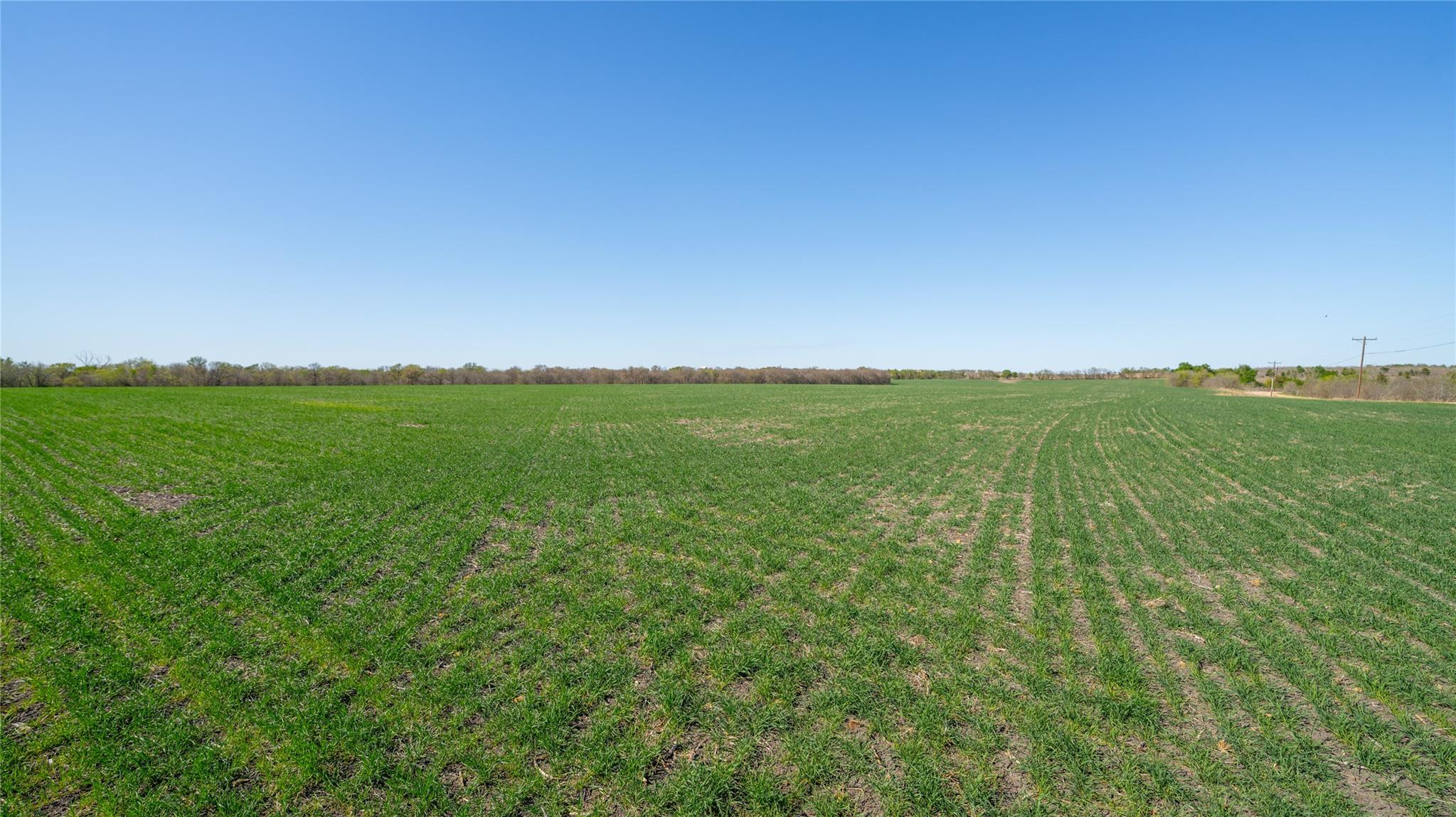 2396-D County Road 112, Buckholts, TX 76518