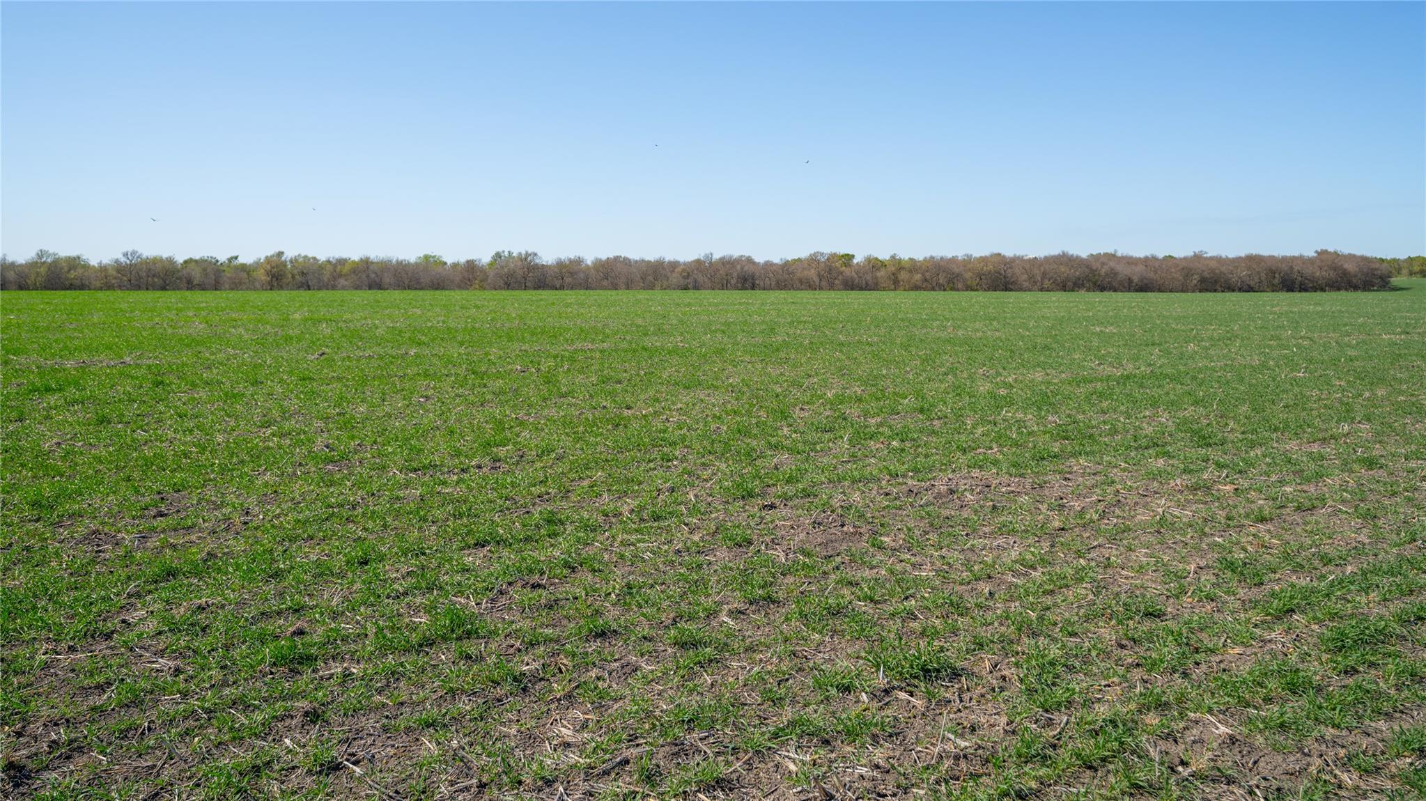 2396-D County Road 112, Buckholts, TX 76518