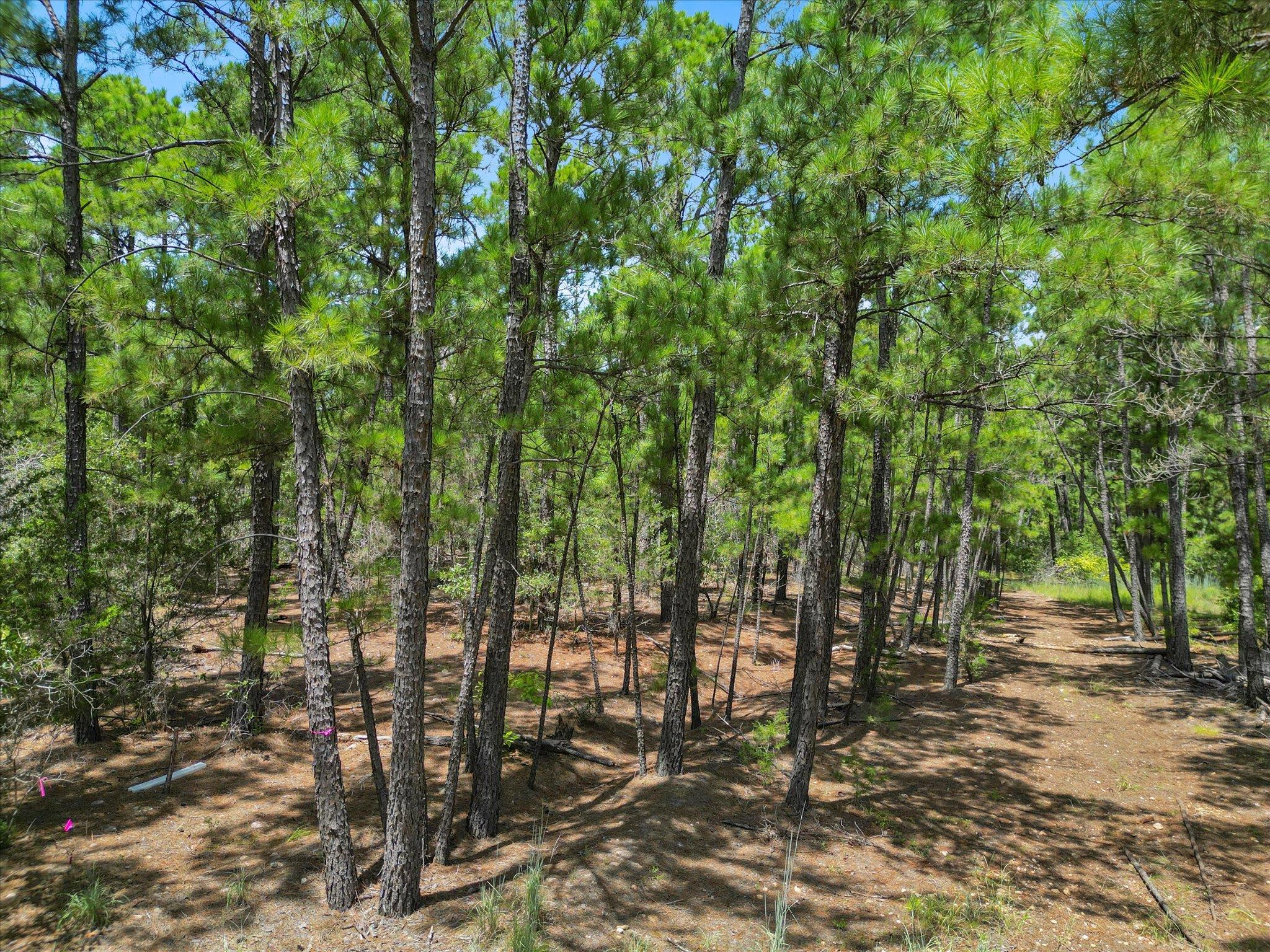 Lot 55 Akala Ln, Bastrop, TX 78602