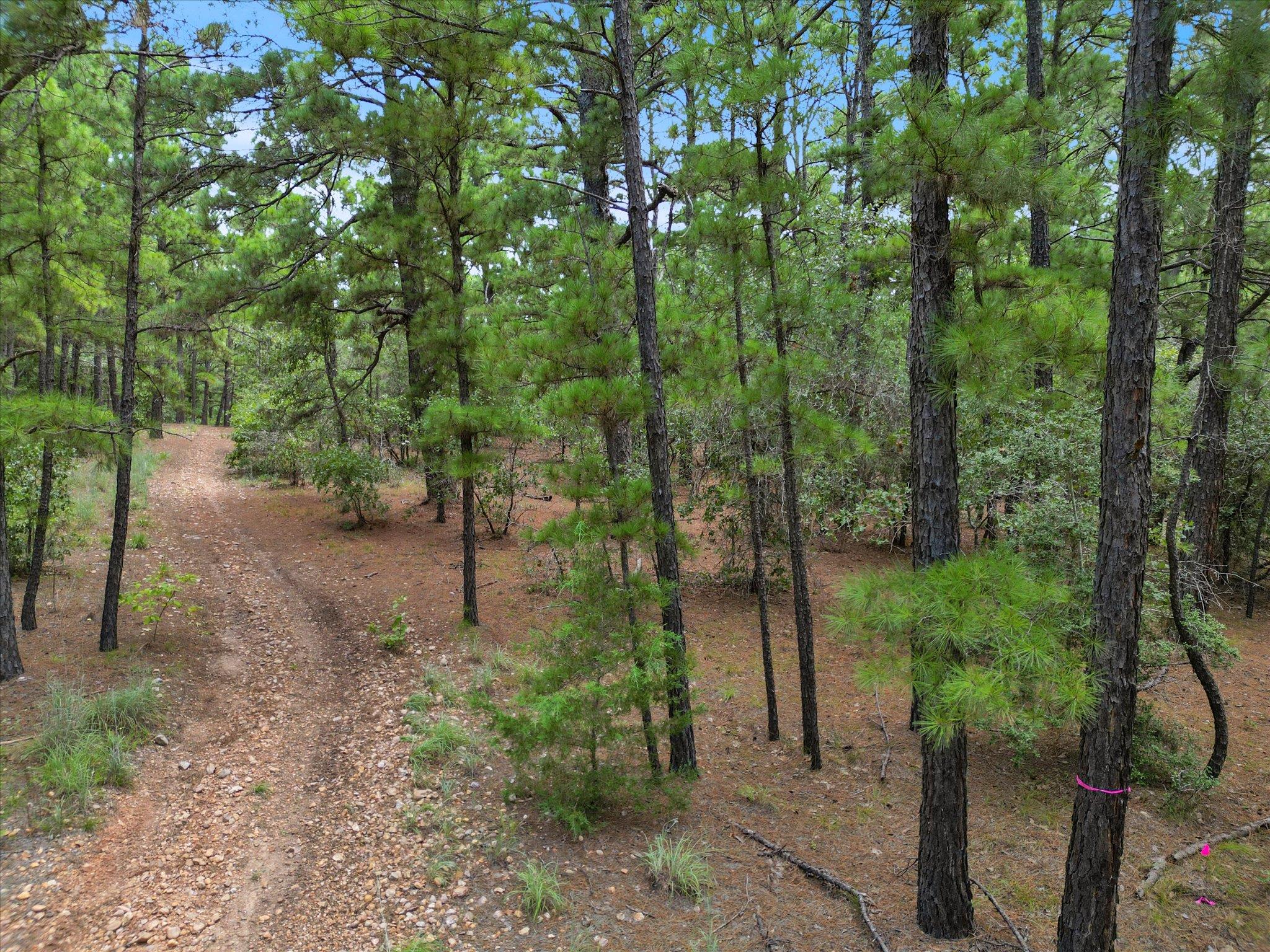 Lot 56 Akala Ln, Bastrop, TX 78602