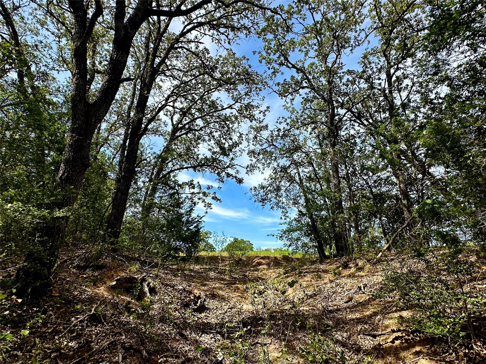 147 Blue Sky Dr, Bastrop, TX 78602