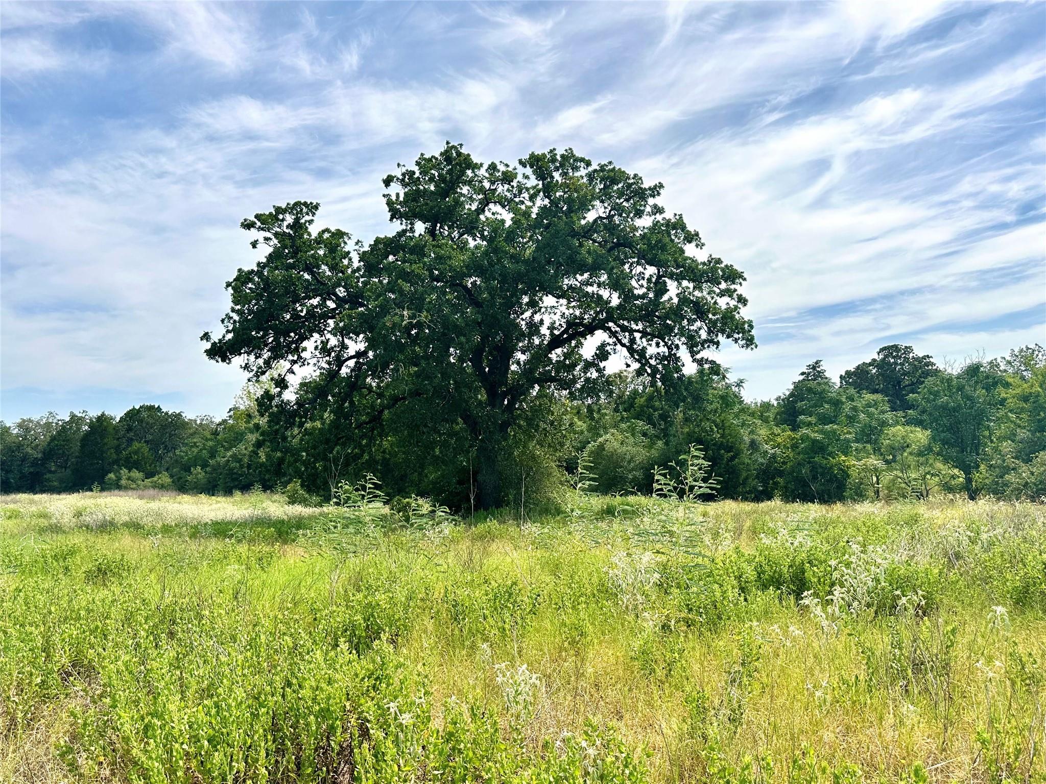 147 Blue Sky Dr, Bastrop, TX 78602