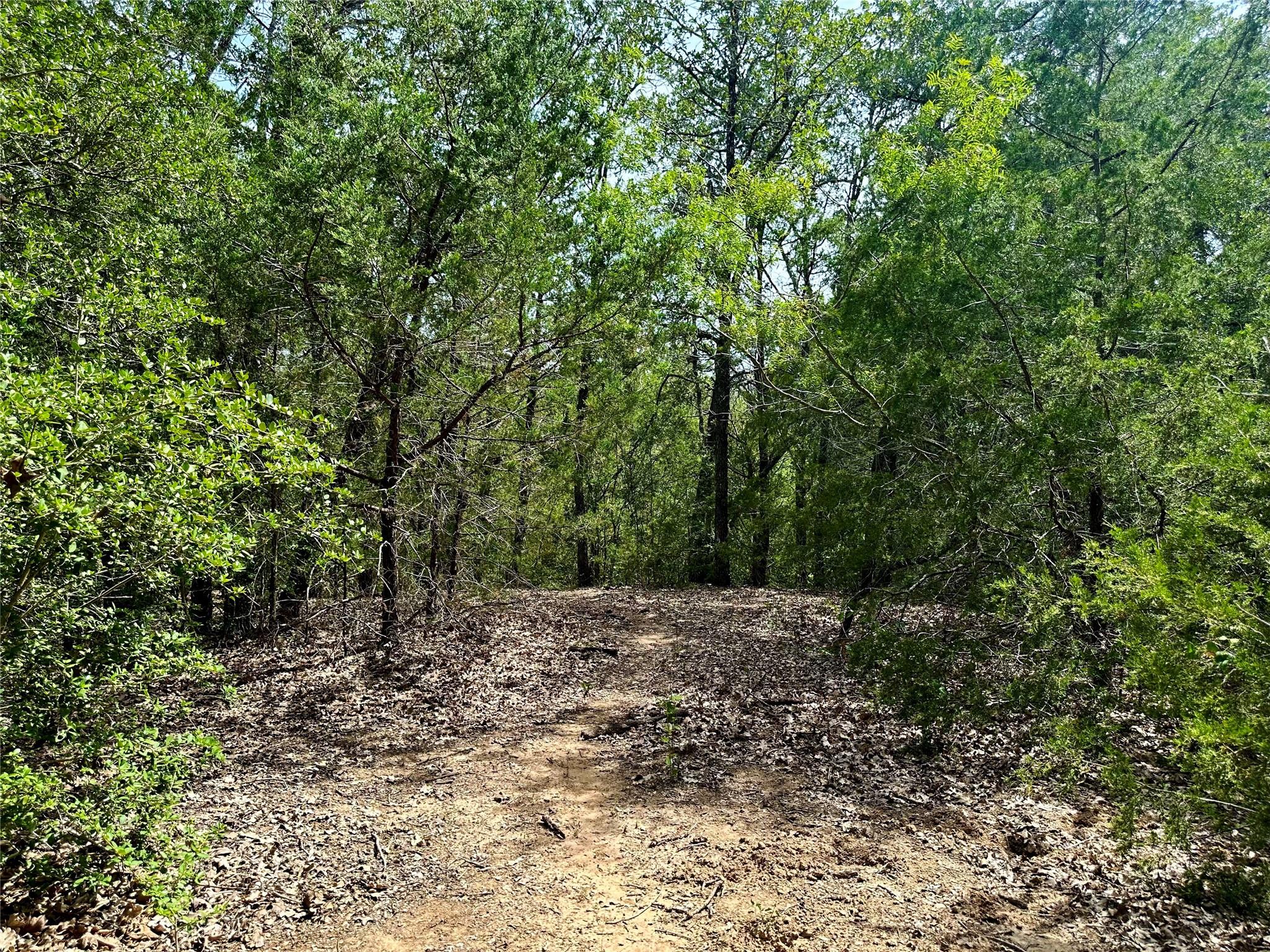 147 Blue Sky Dr, Bastrop, TX 78602