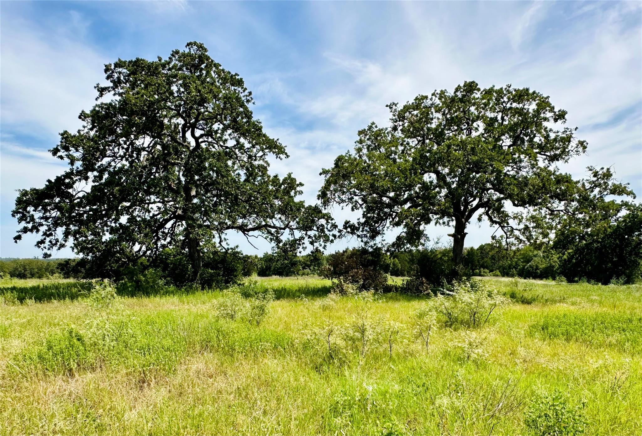 147 Blue Sky Dr, Bastrop, TX 78602