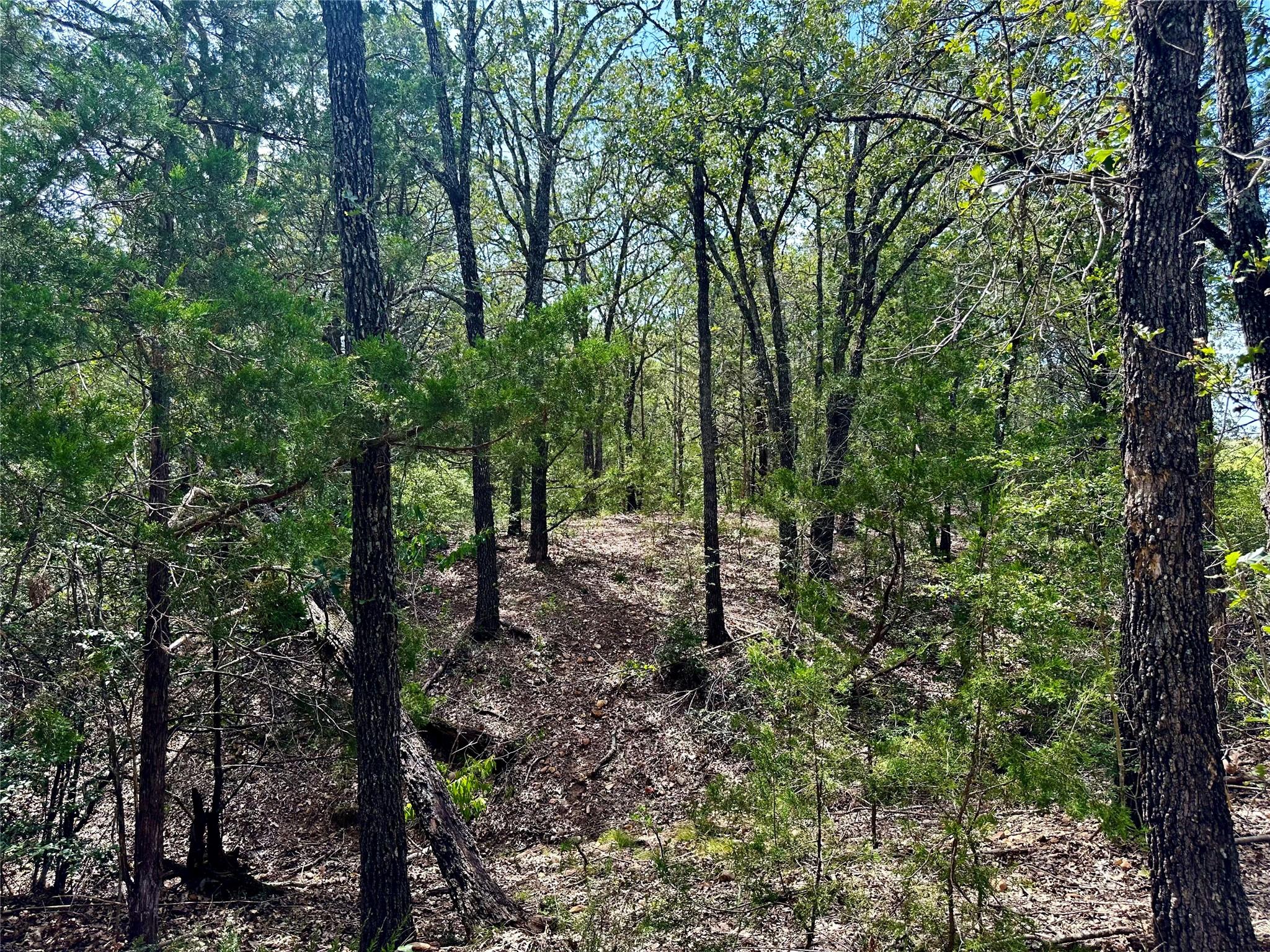 147 Blue Sky Dr, Bastrop, TX 78602